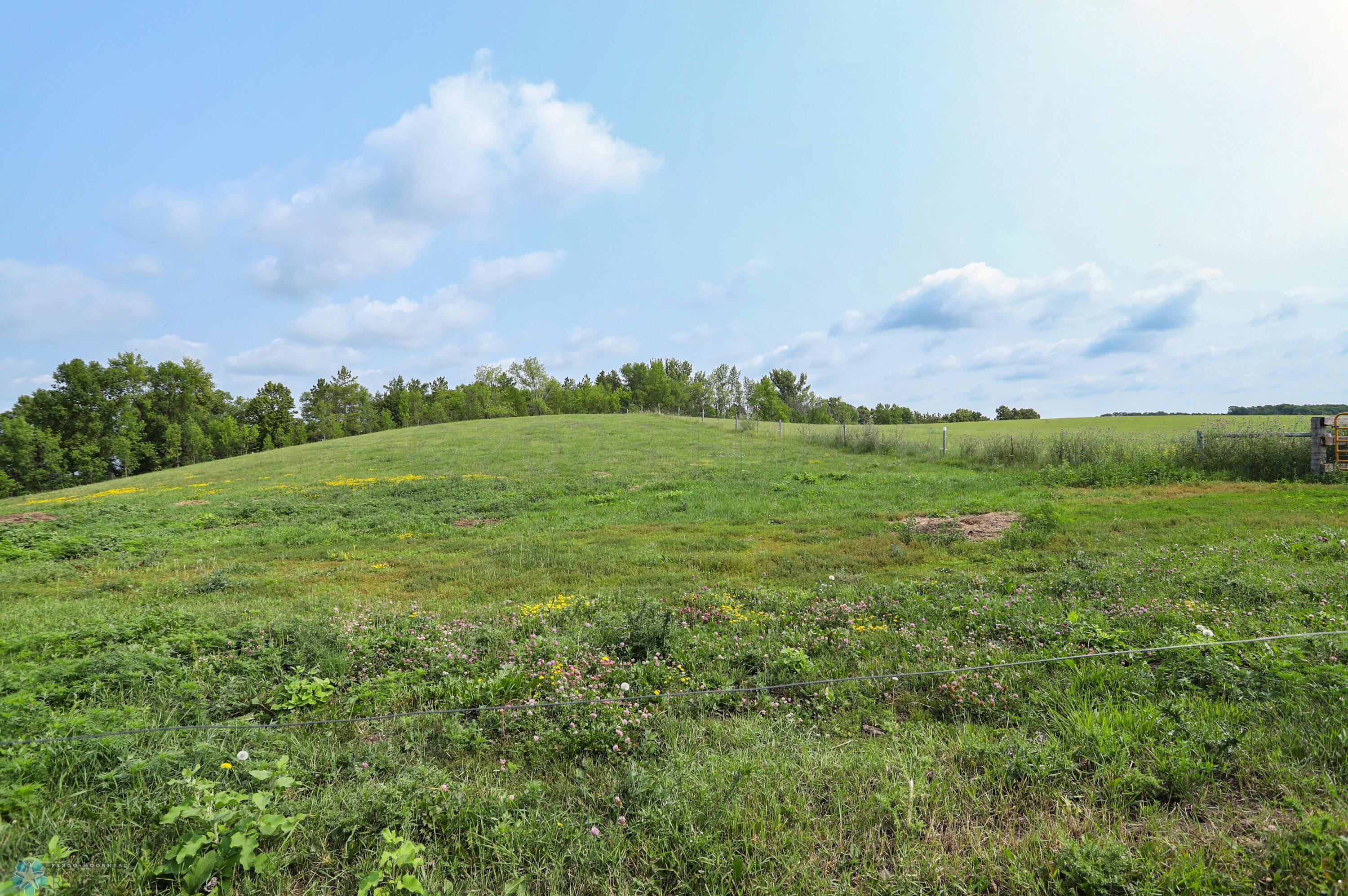 Pasture (view 2)