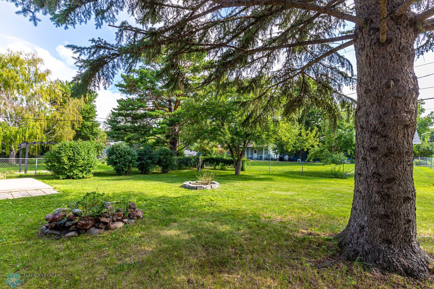 Mature Trees
