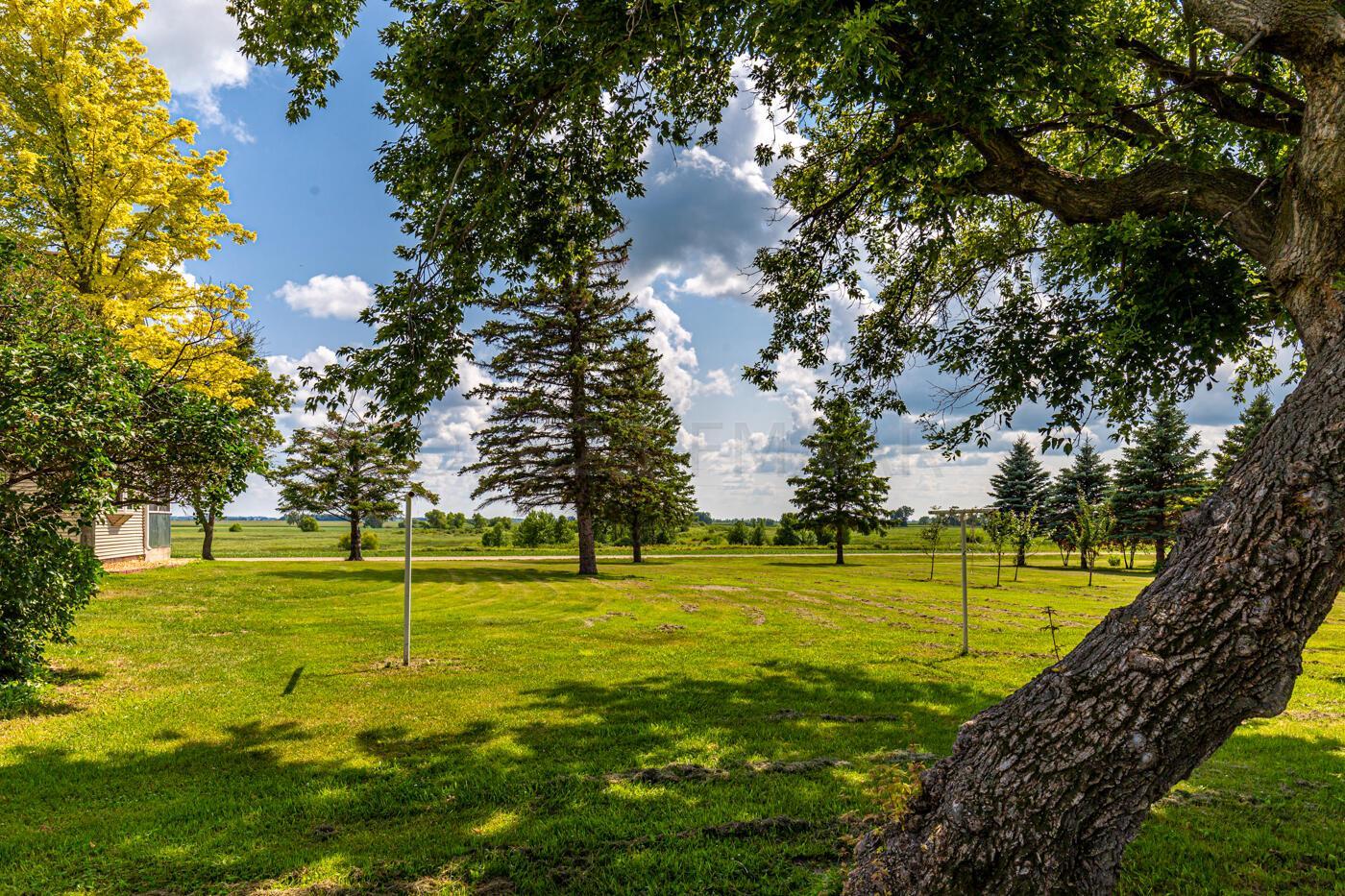 Beautiful Yard!
