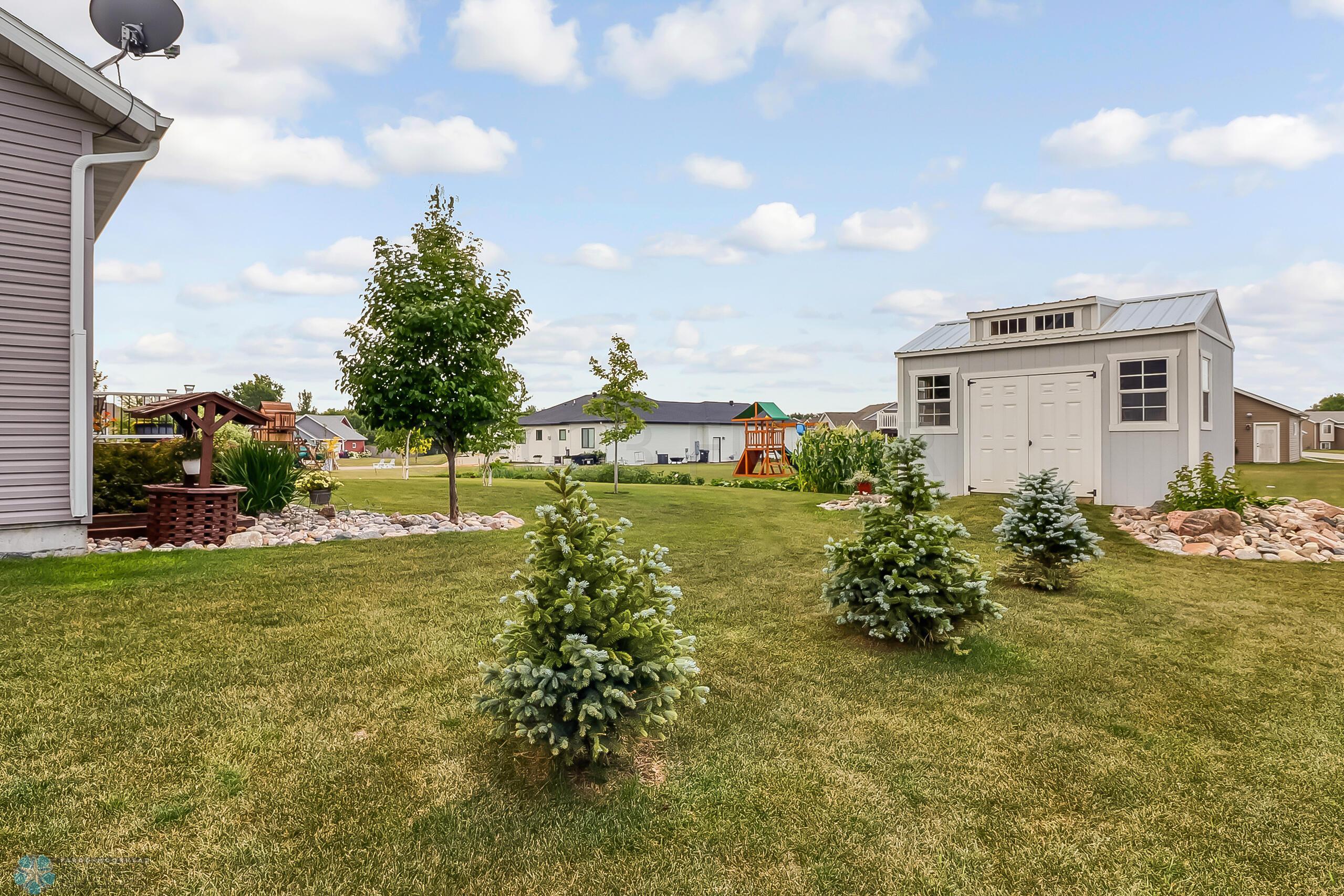 Backyard1_4