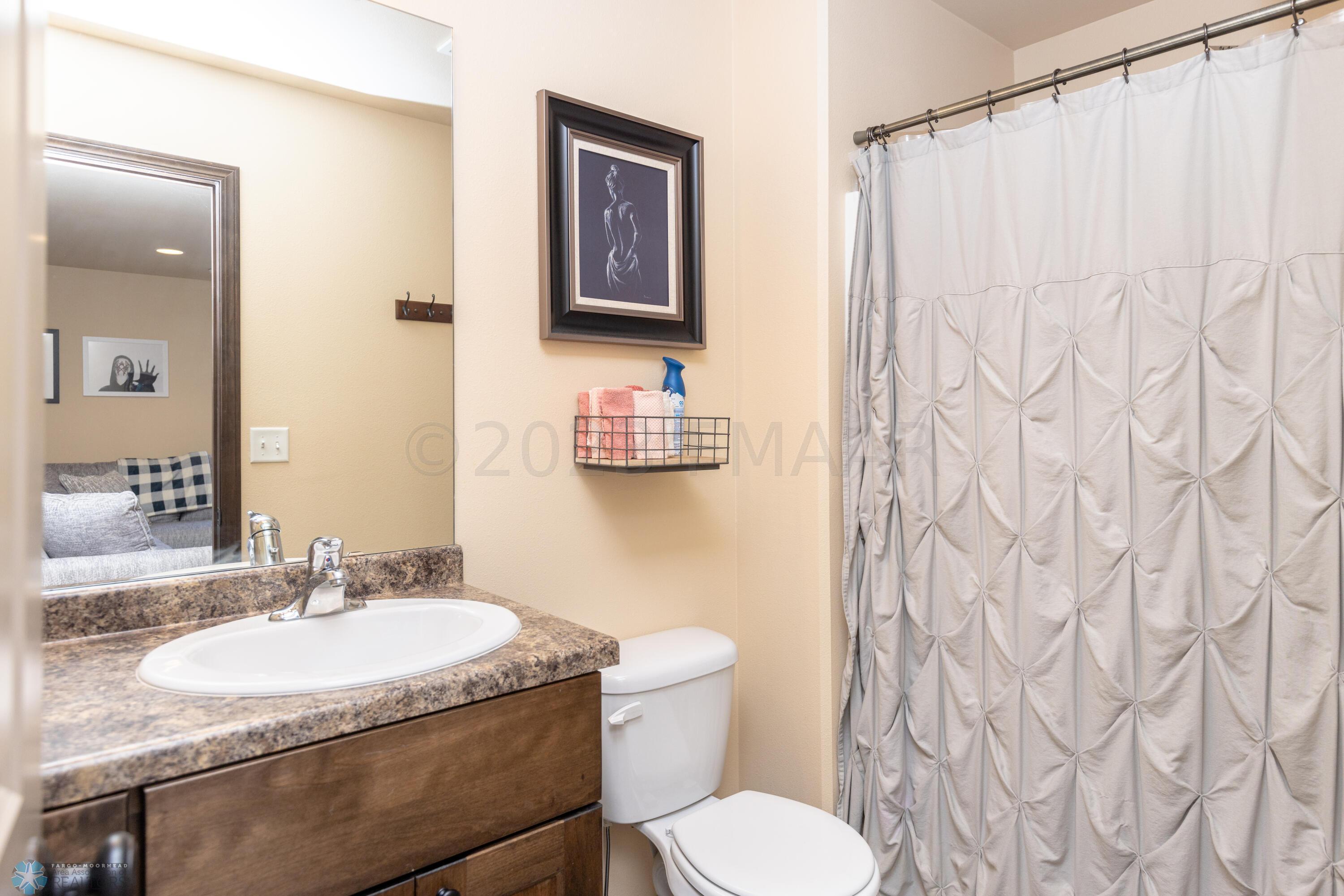 Lower Level Bathroom