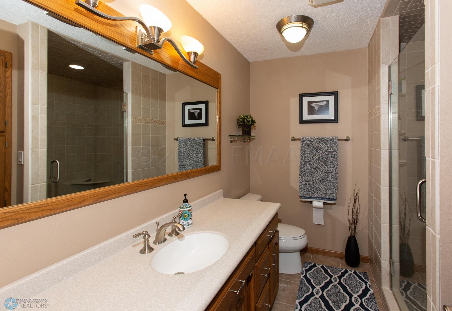 Lower Level Bathroom
