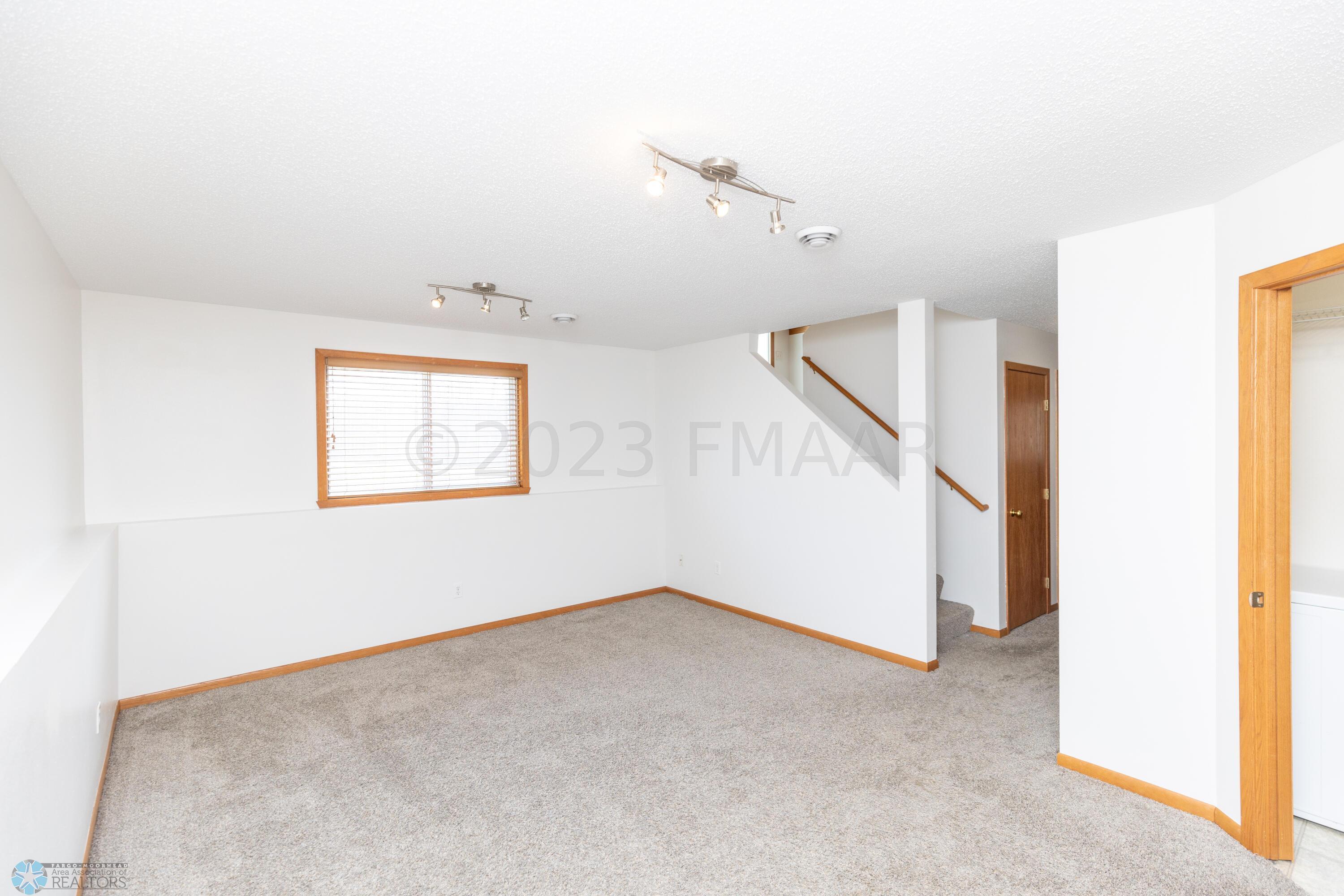 Lower Level Family Room