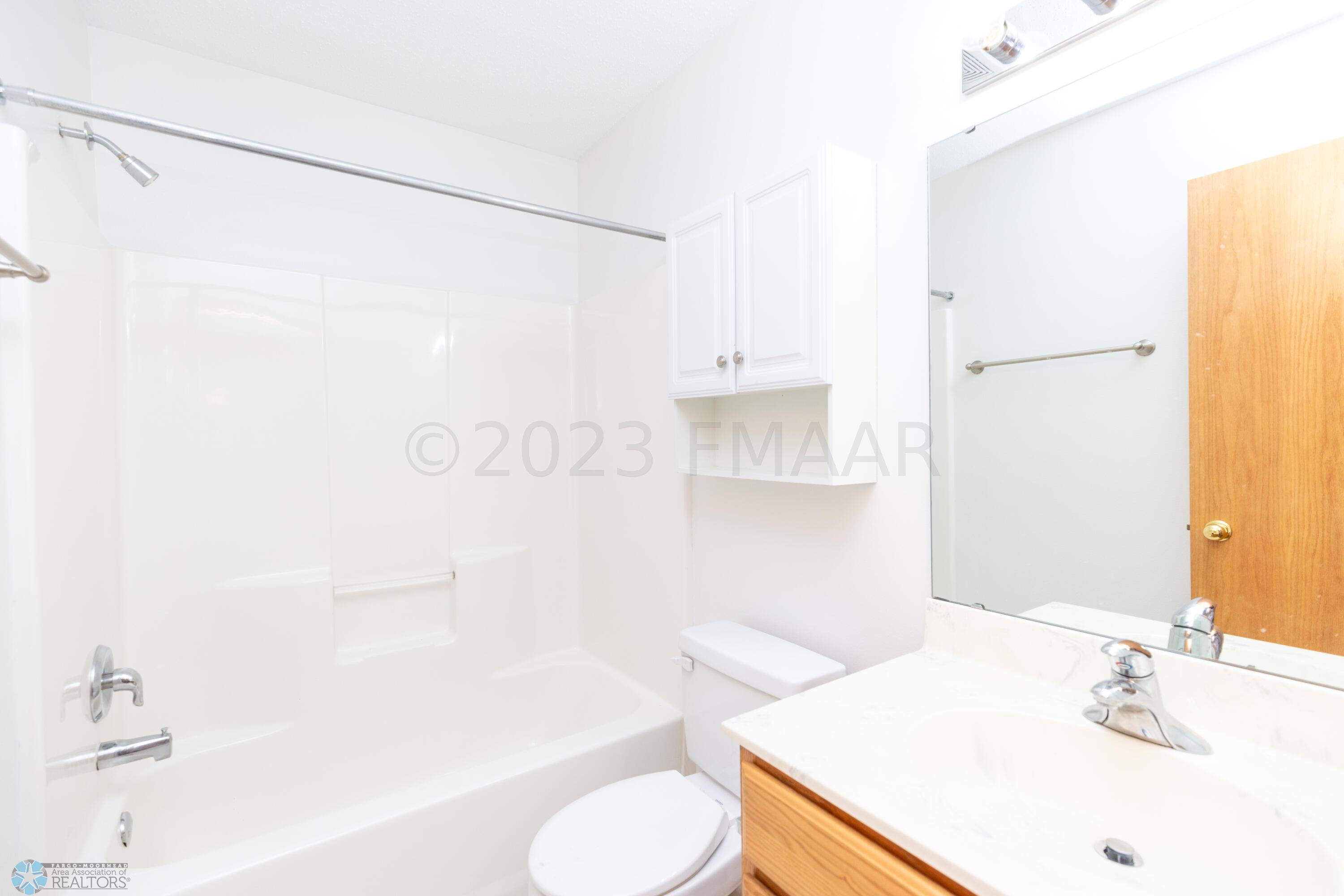 Lower Level Bathroom