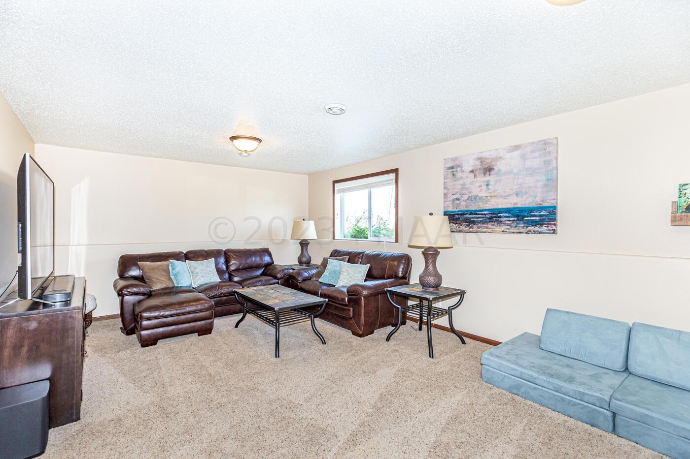 Lower Level Living Room