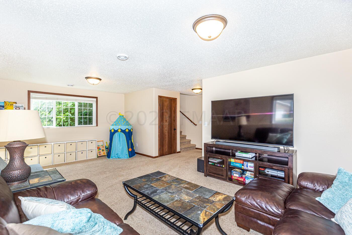 Lower Level Living Room