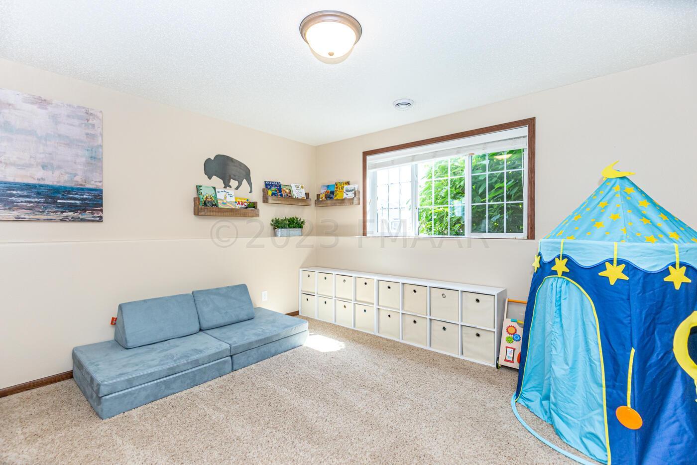 Lower Level Flex Space