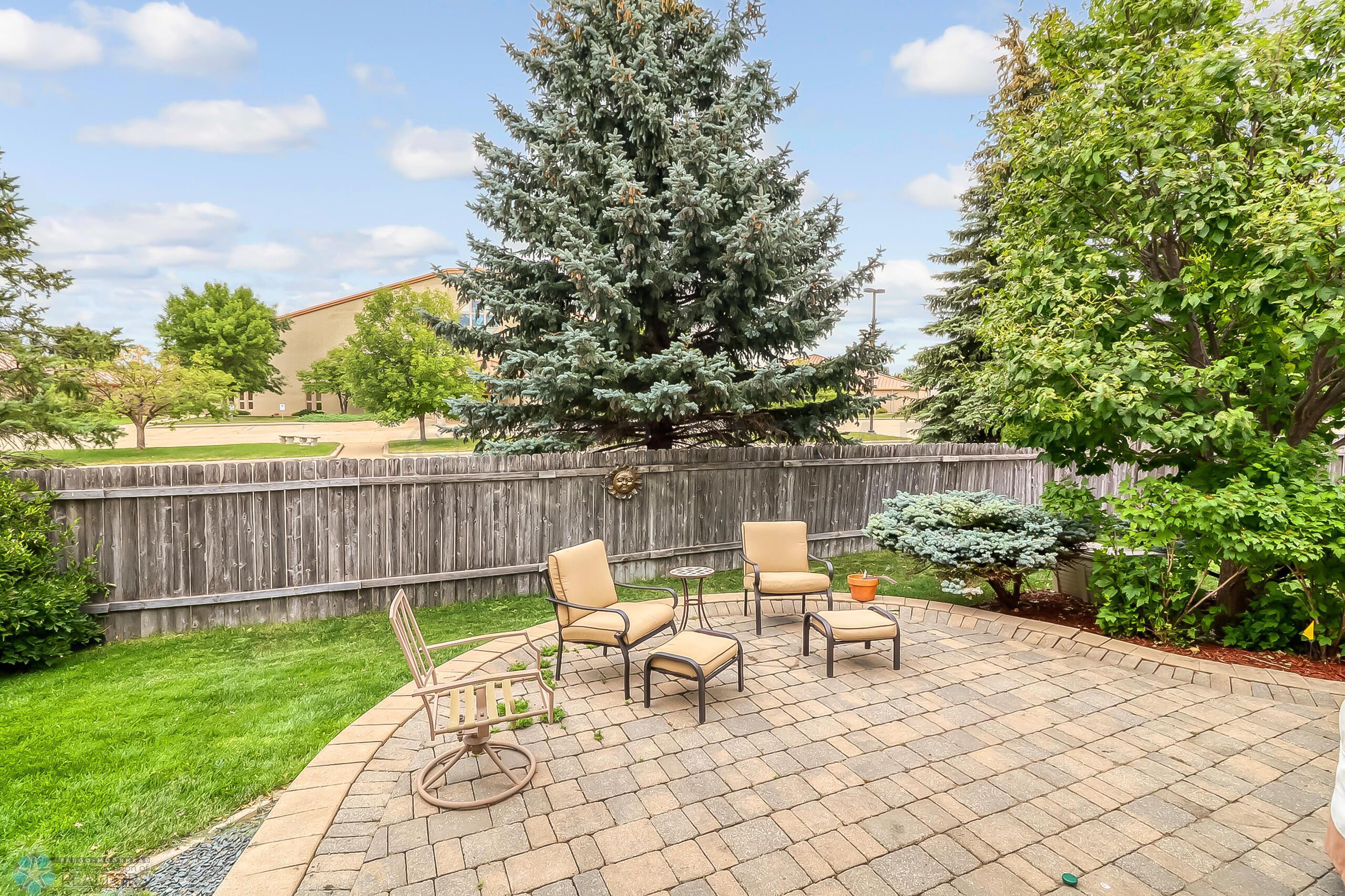 Backyard1_0