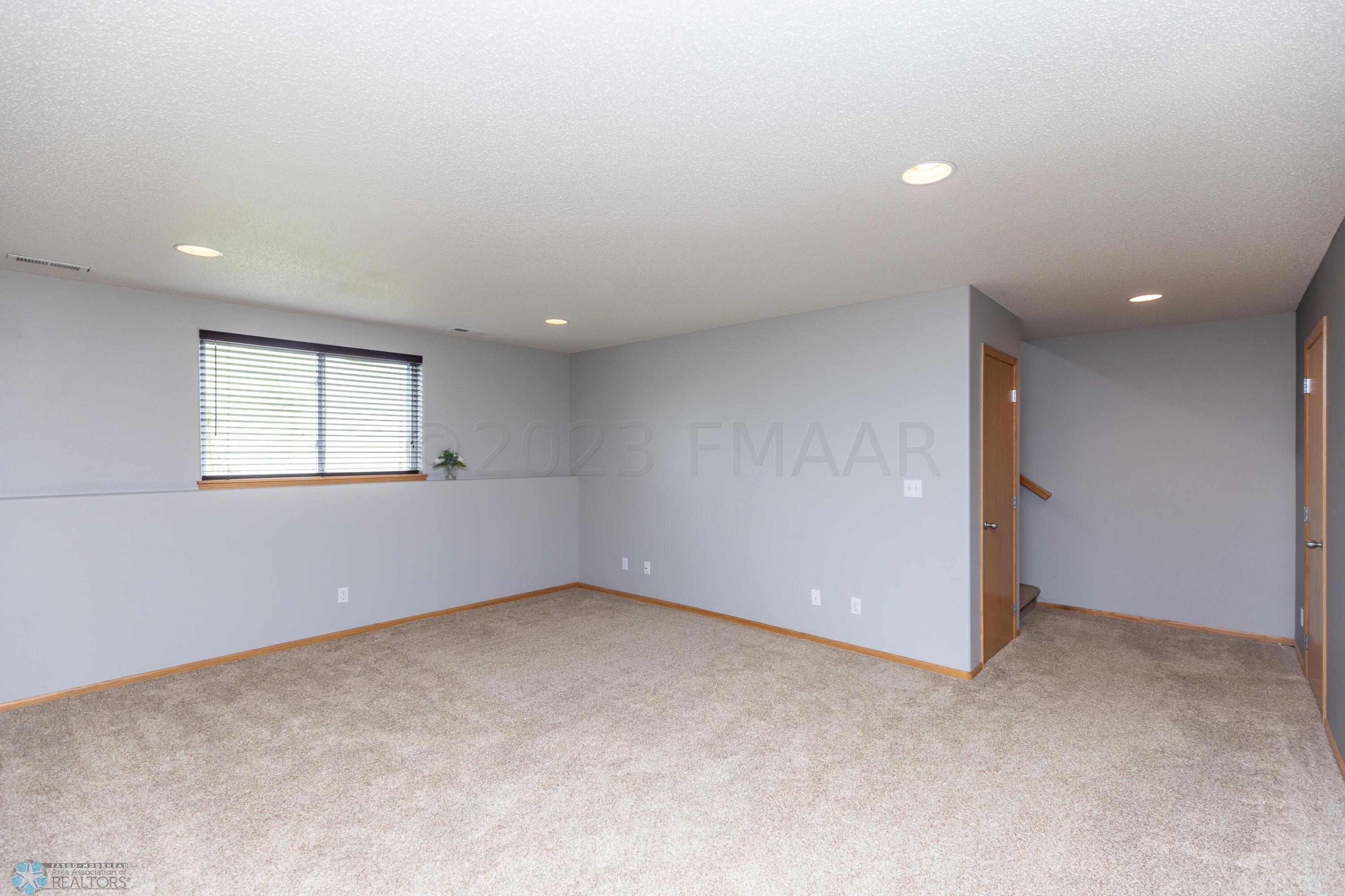 Basement Family Room