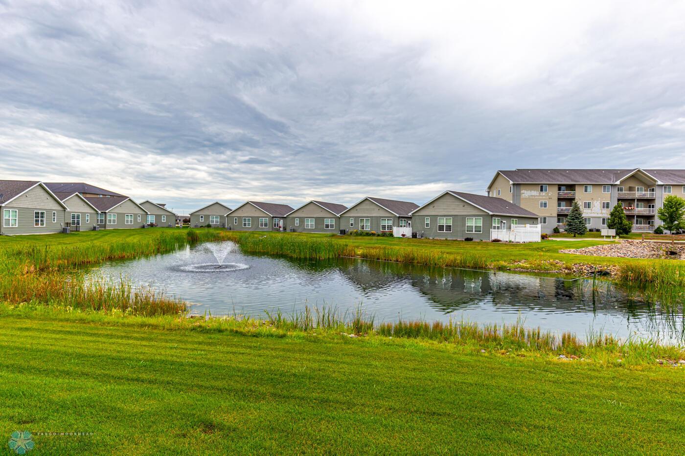 Pond view