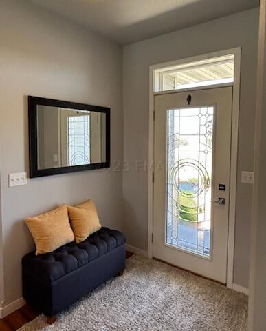 Sketched Glass Front Door