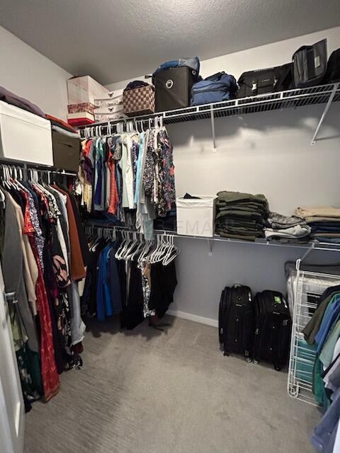 Master Walk-In