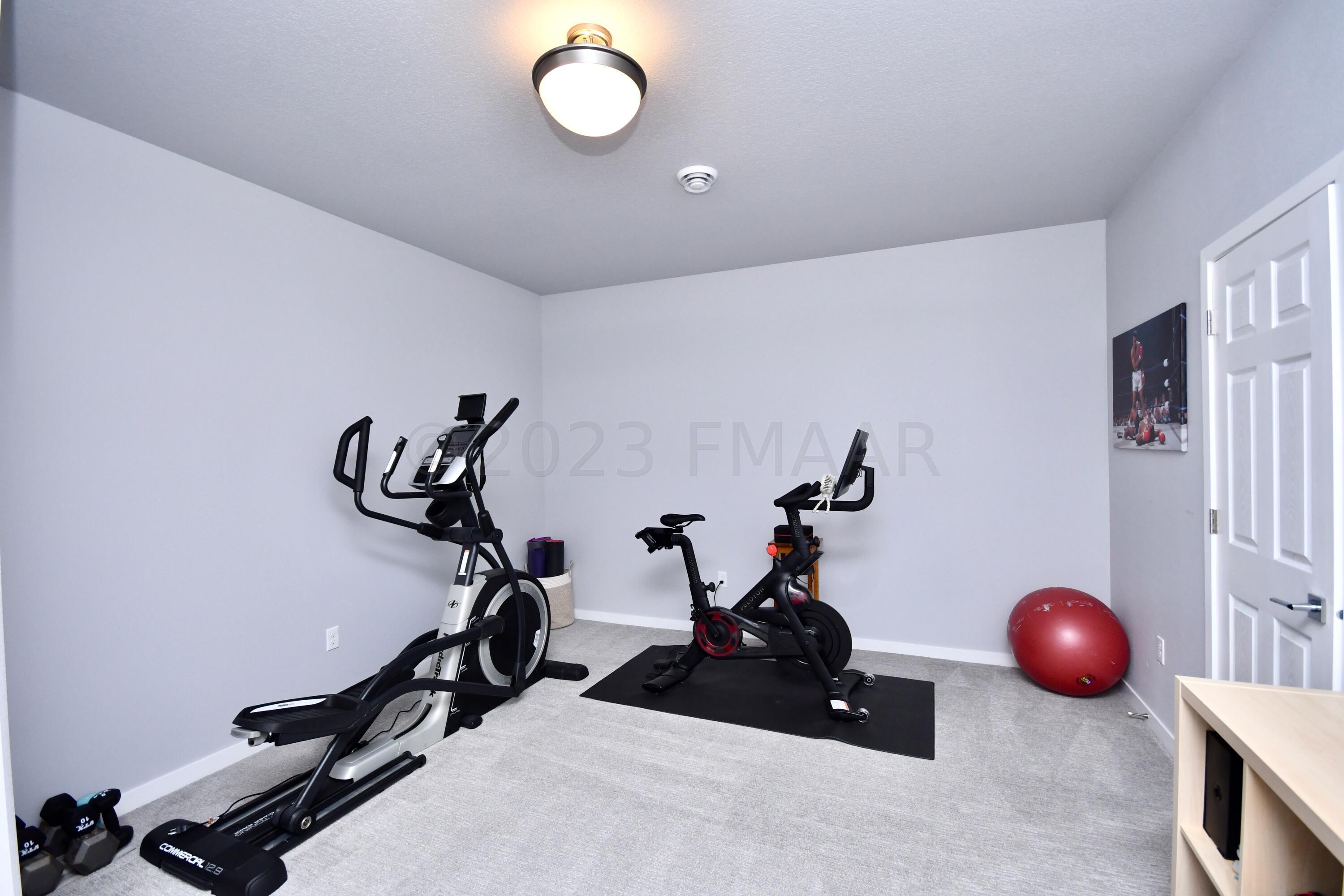 Flex Room - Basement