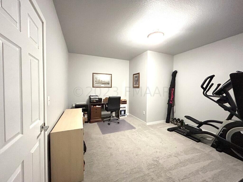 Flex Room - Basement