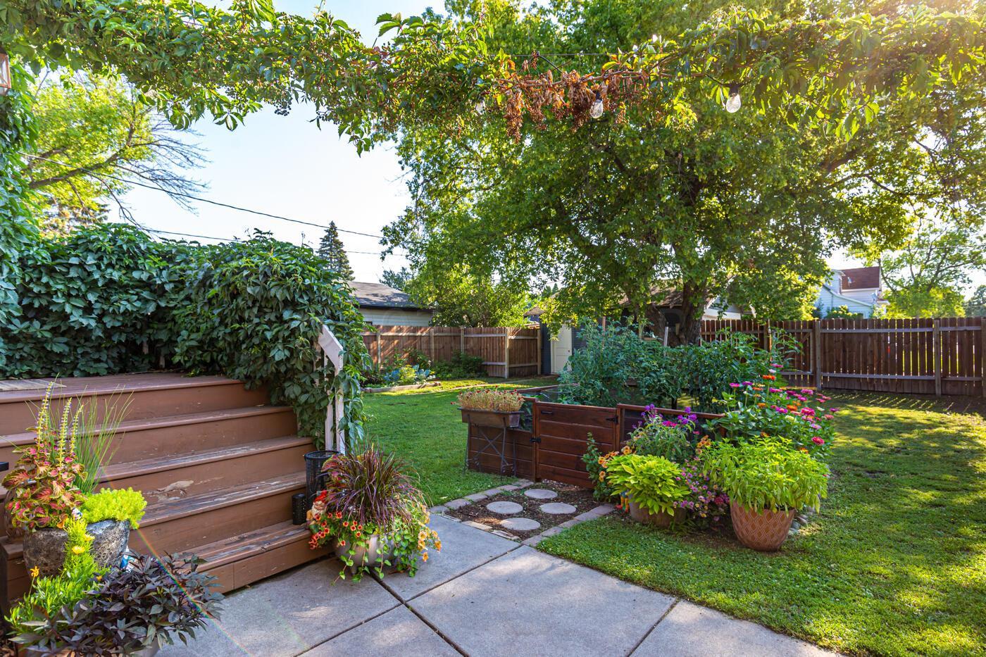 Back Yard