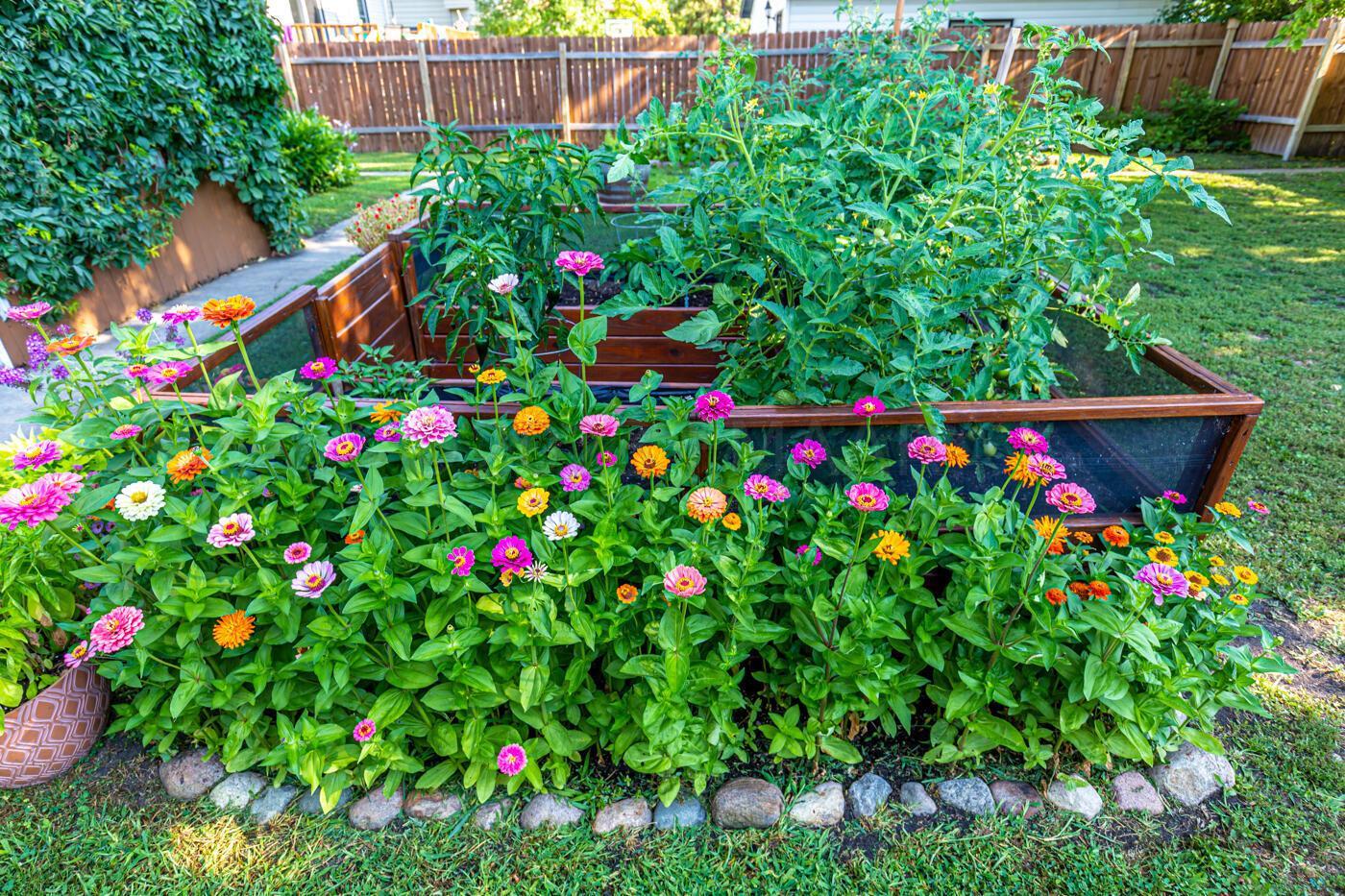 Garden Beds