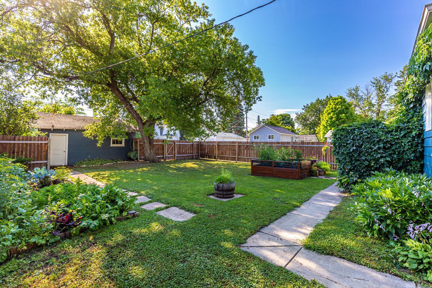 Back Yard