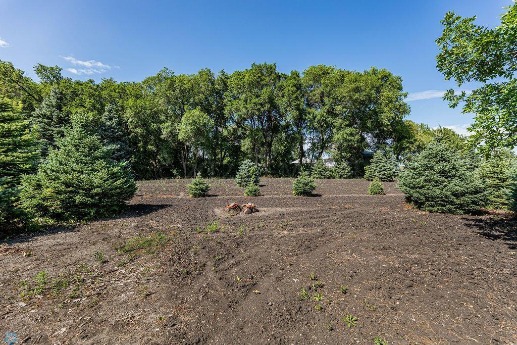 Cultivated Area