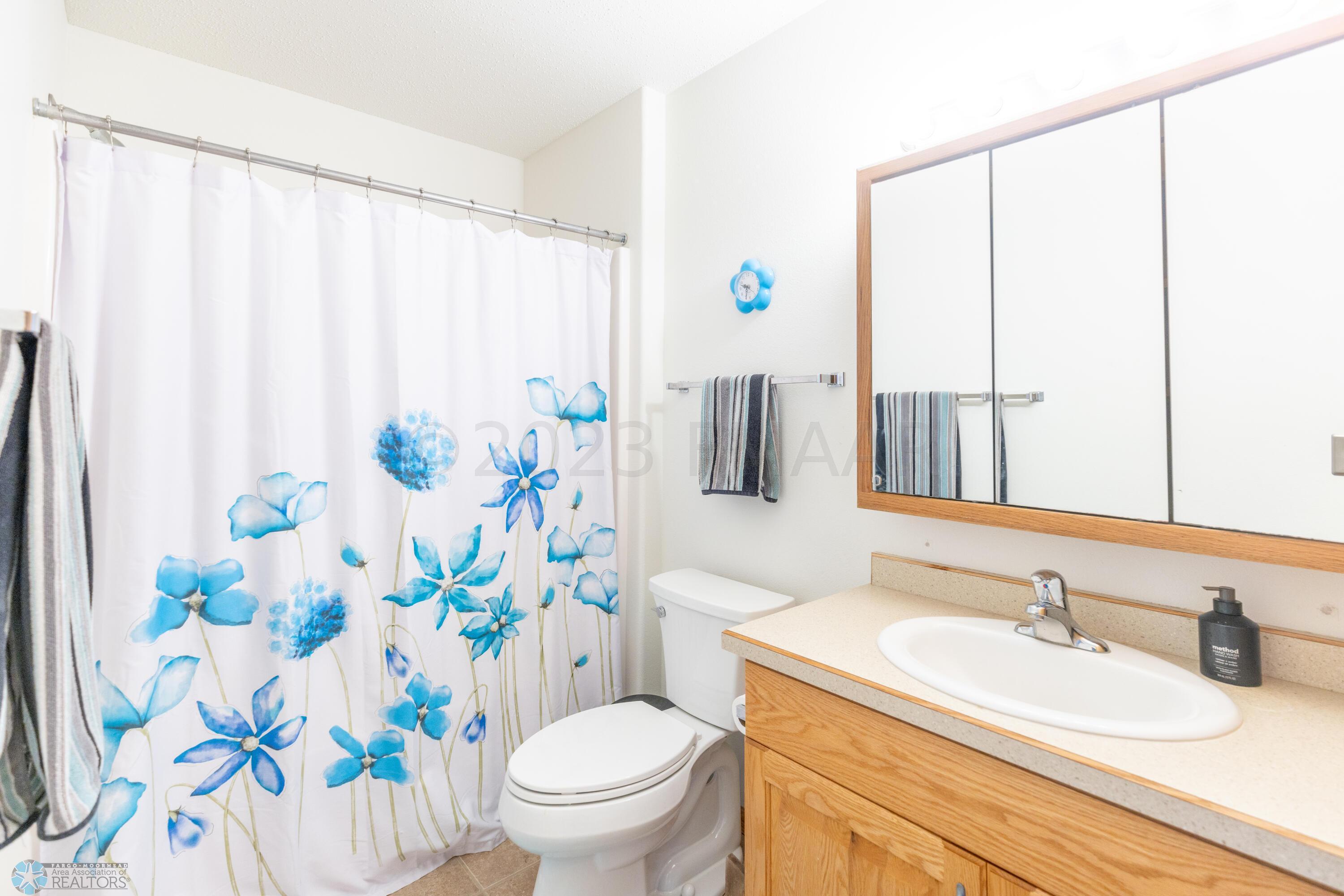 Basement Bathroom