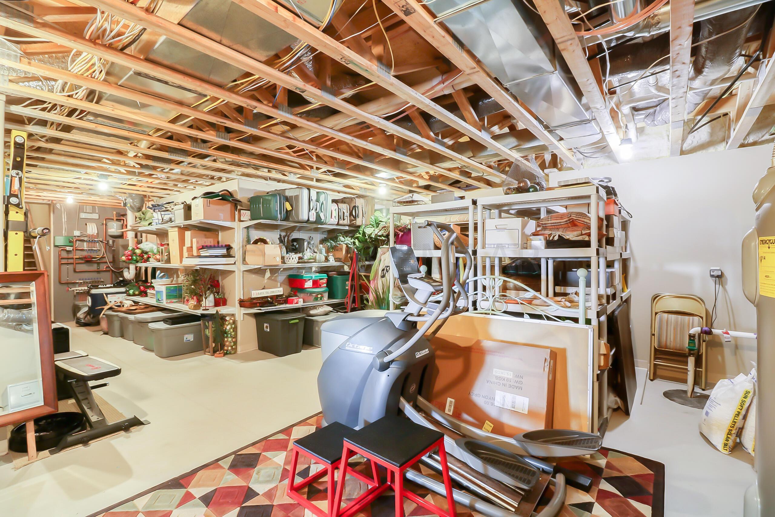 Basement Storage1_1