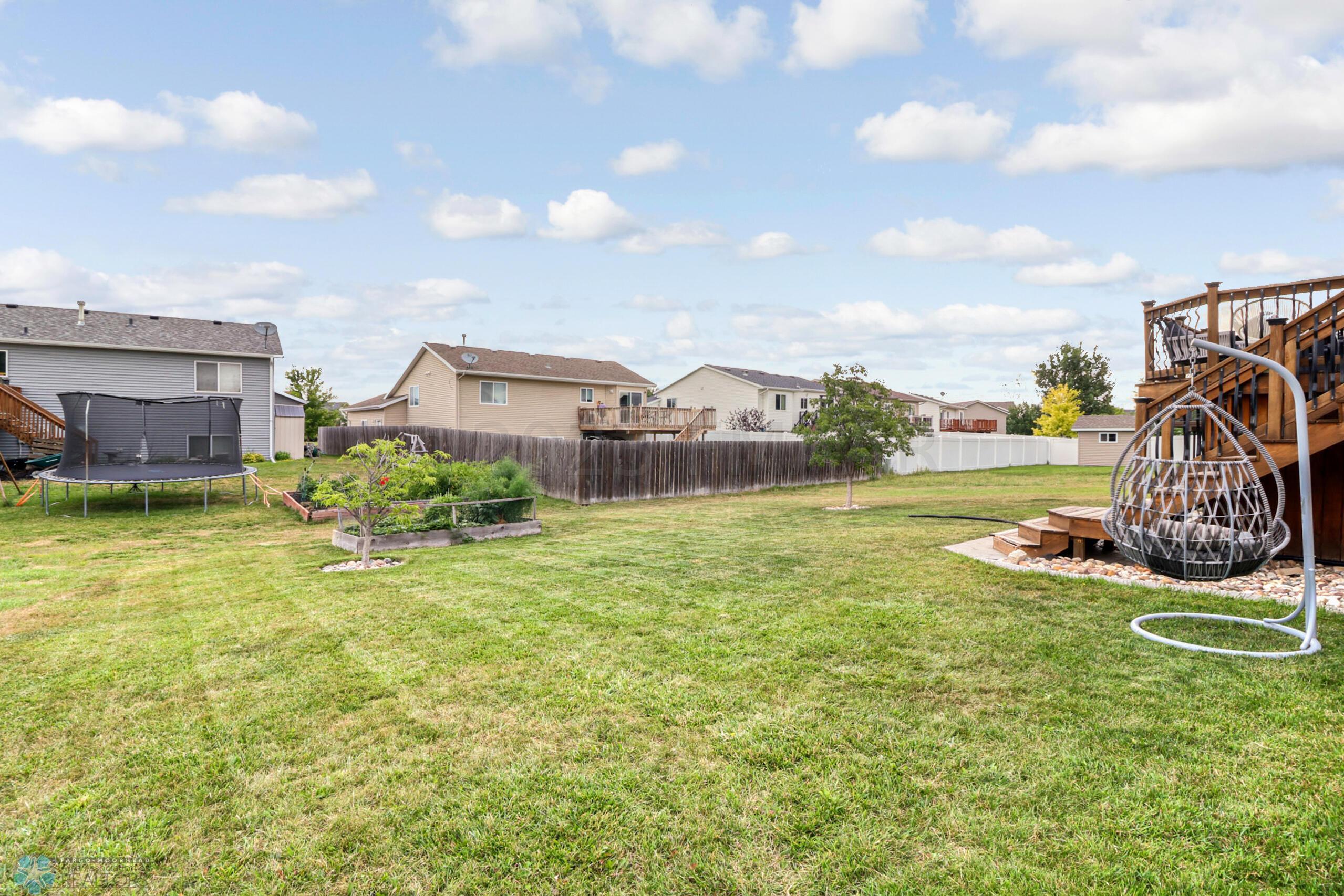 Backyard1_1