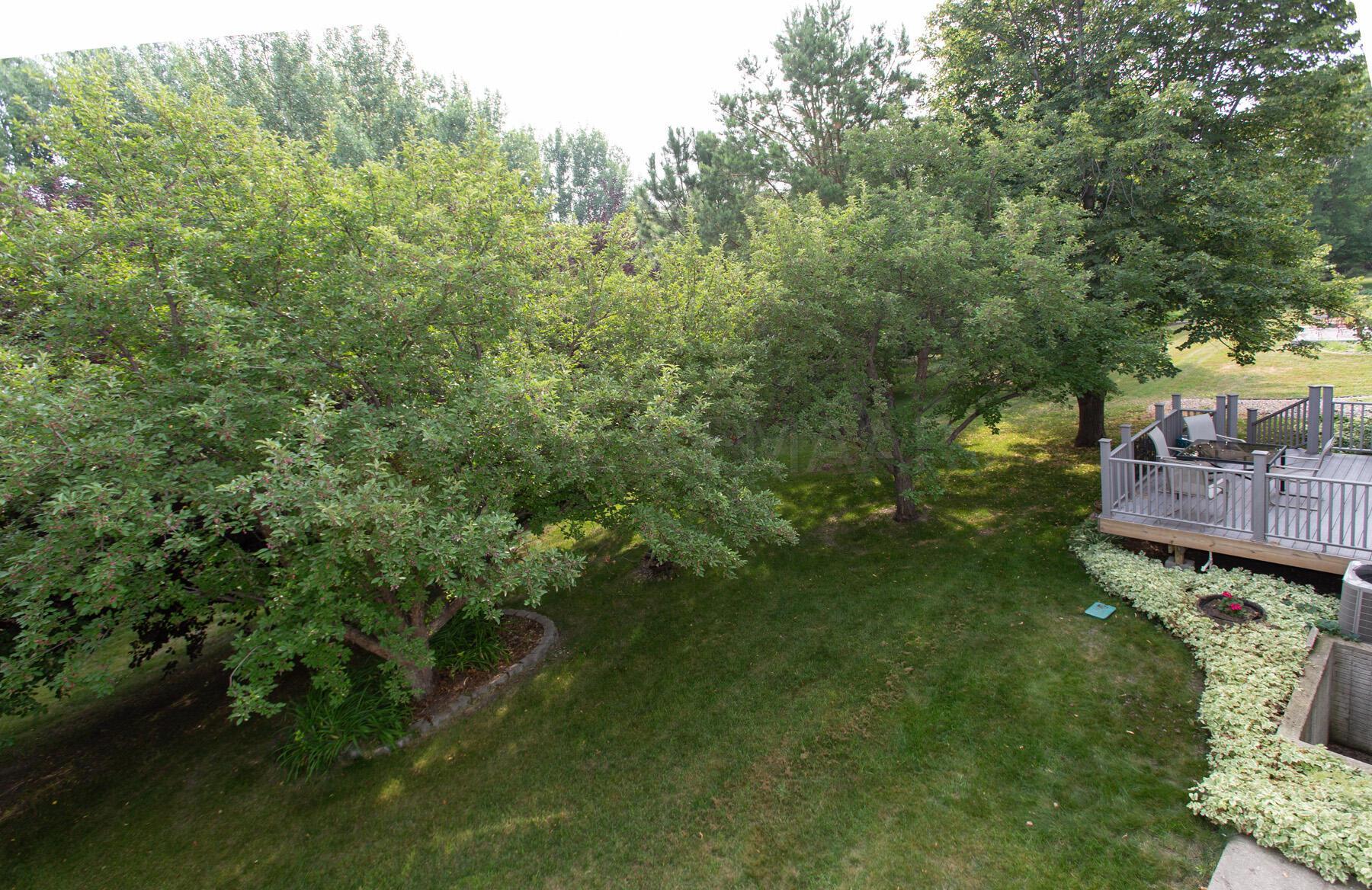 Overlook of Backyard