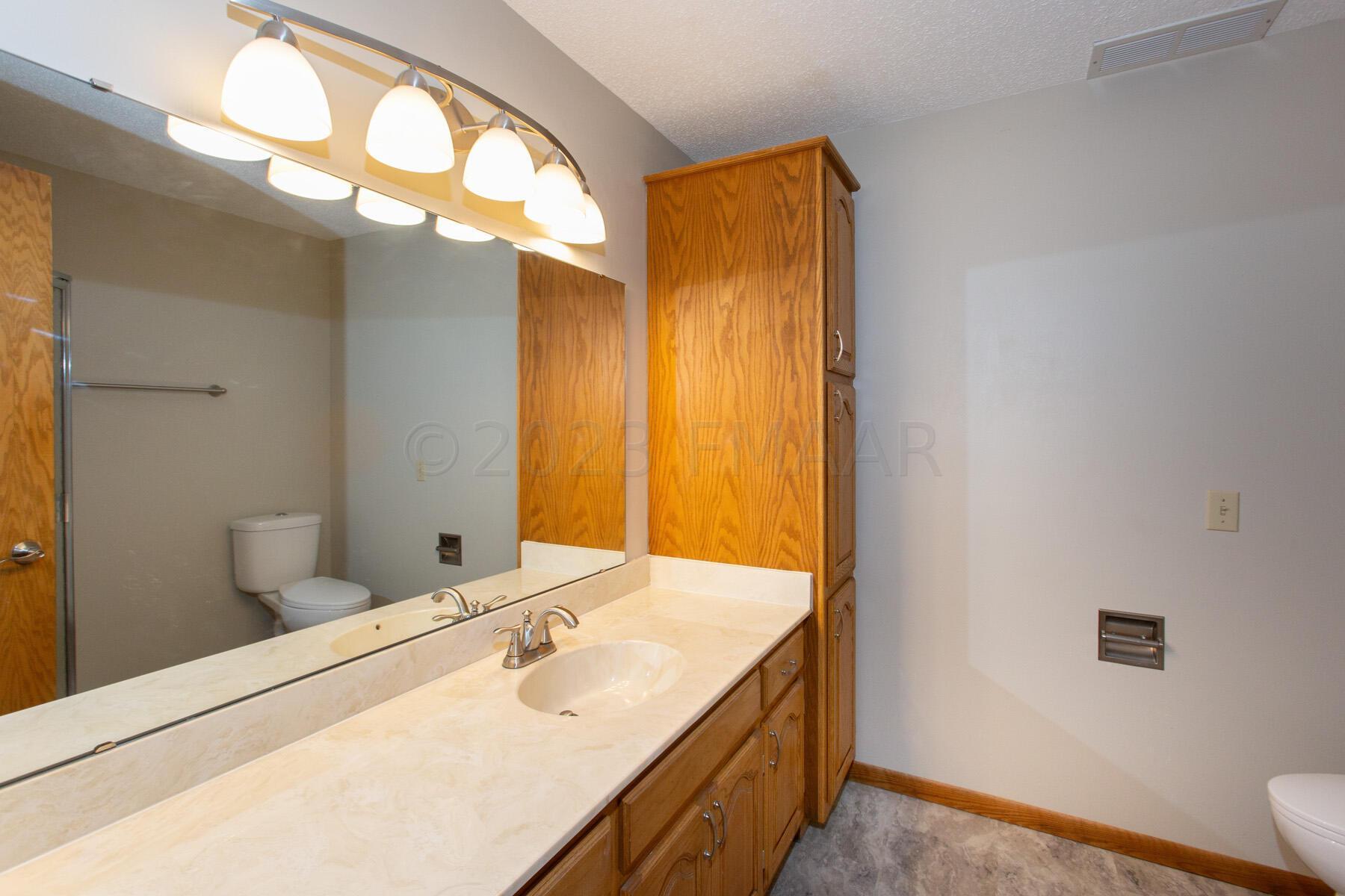 Basement Bathroom
