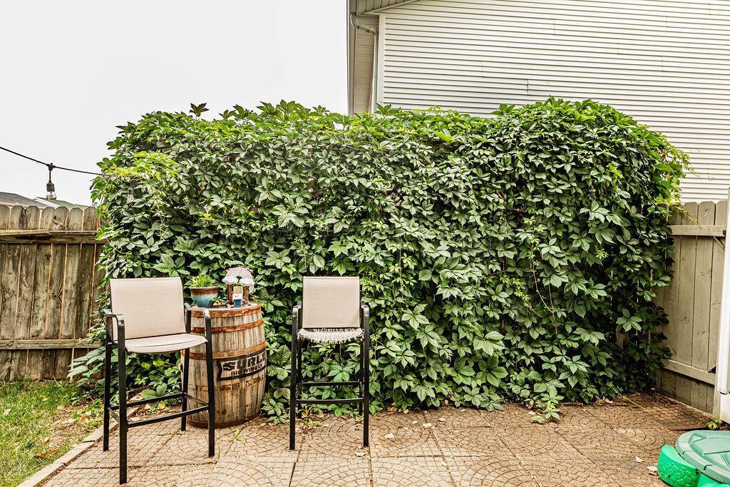 Wall of Vines for Privacy