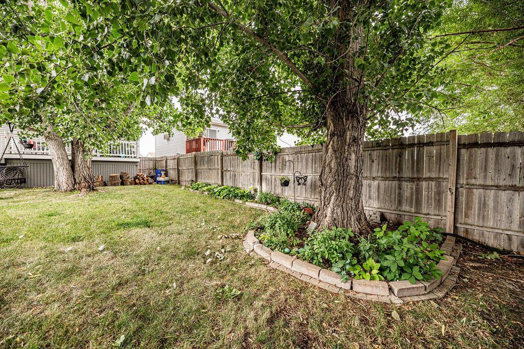 Totally Fenced Backyard