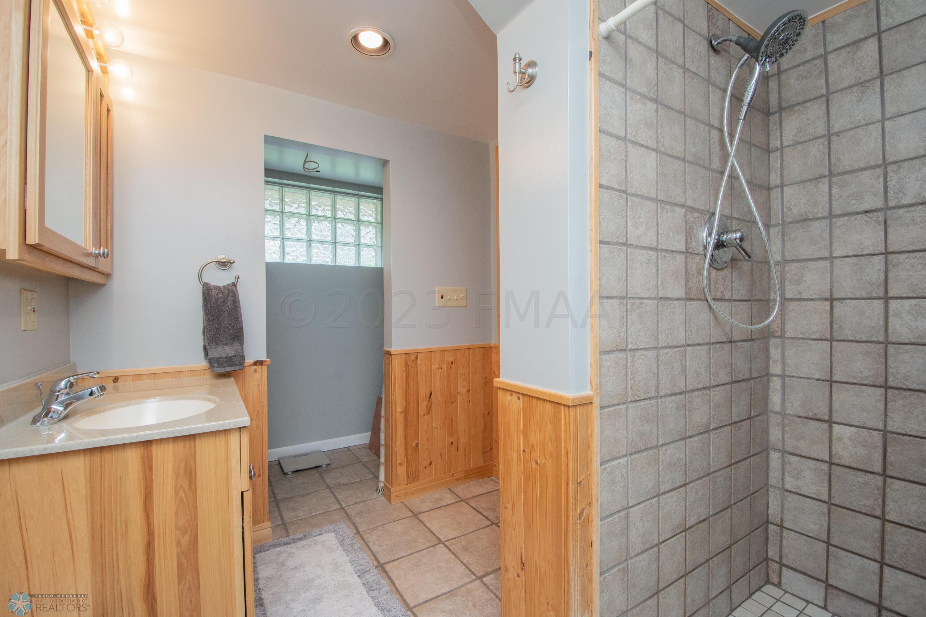 Lower Level Bathroom