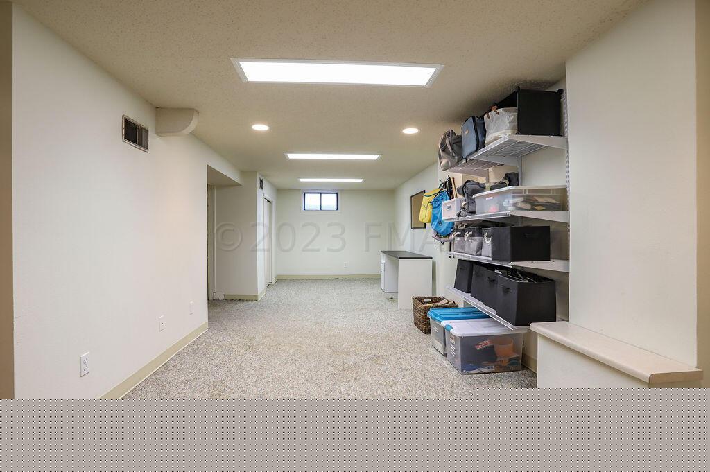 Basement Family Room