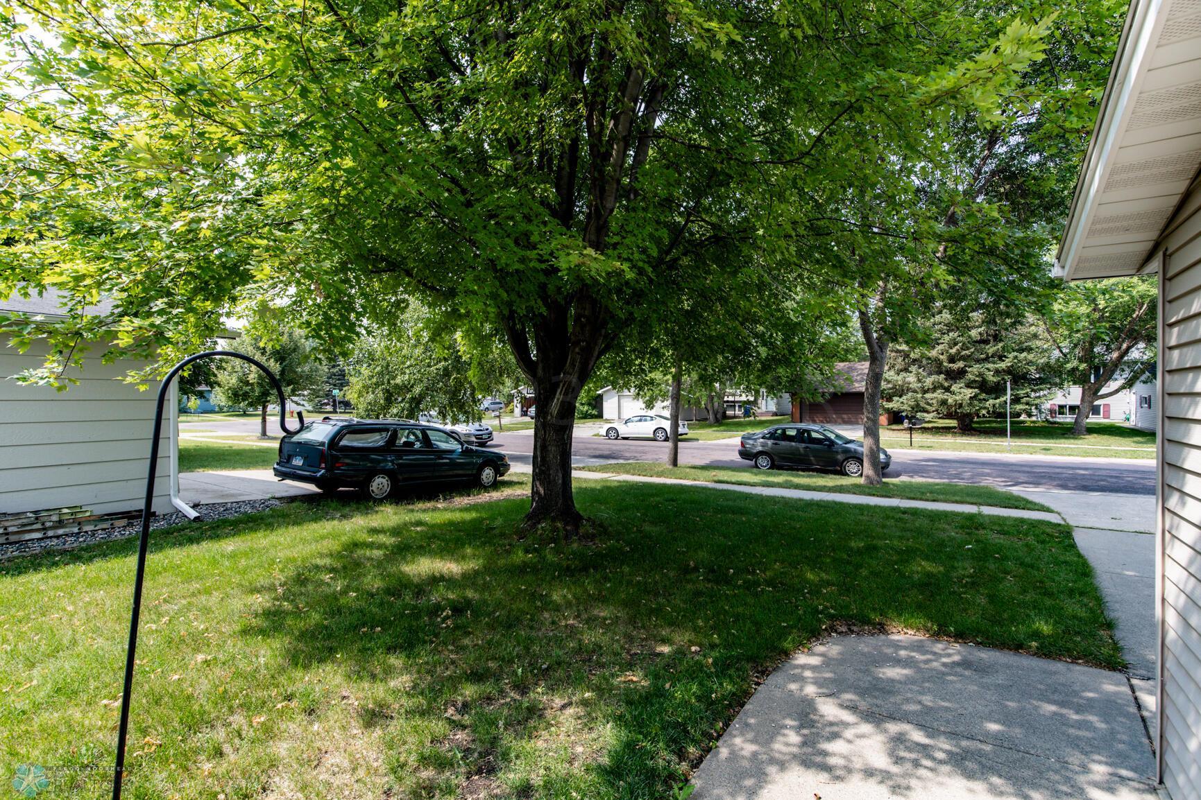 Front Yard