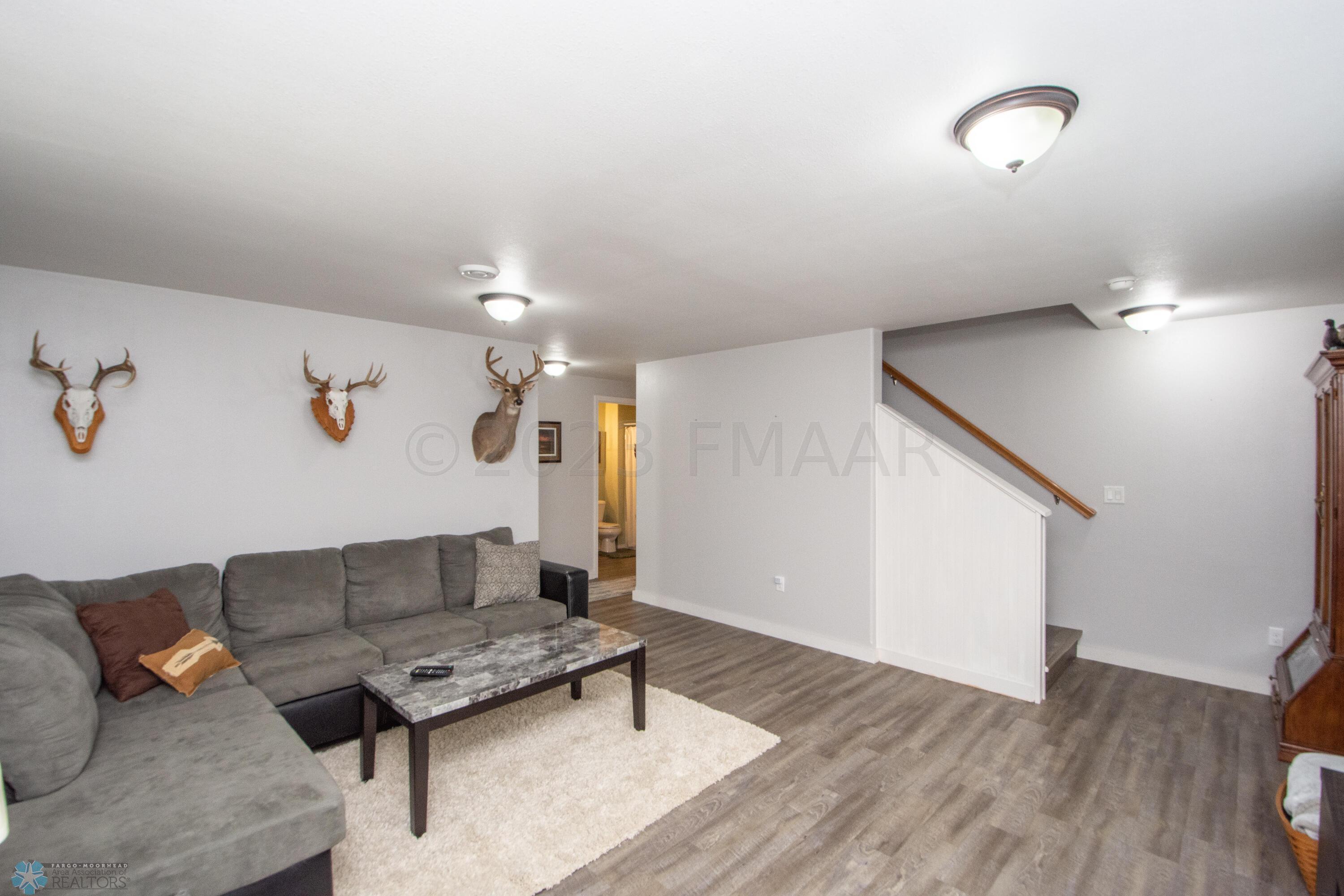Basement Living Room