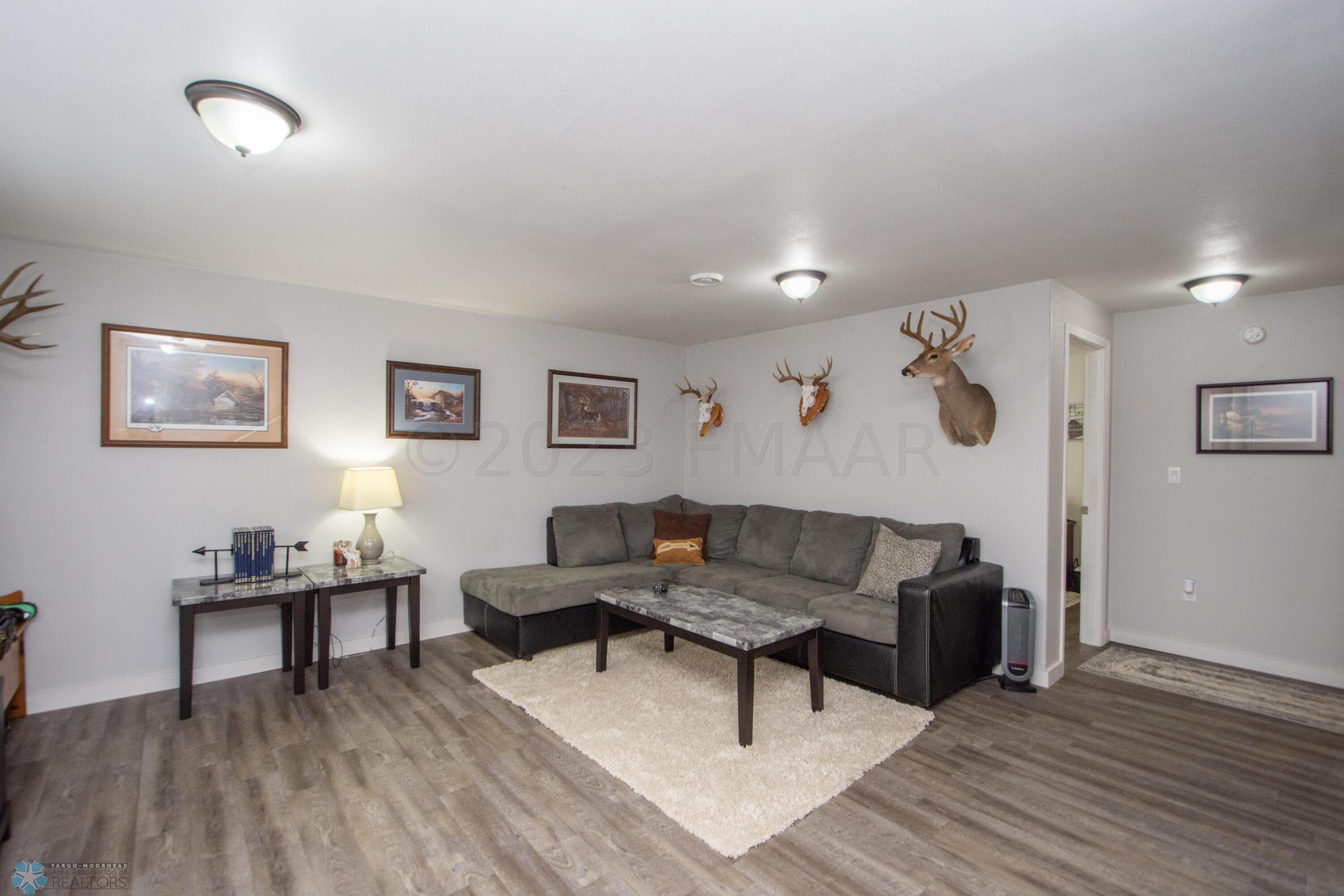 Basement Living Room