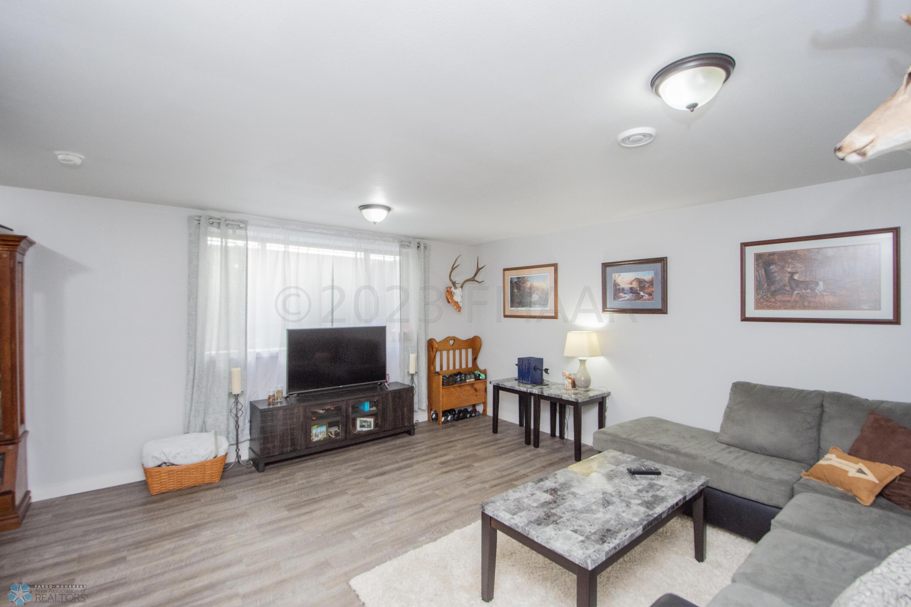 Basement Living Room