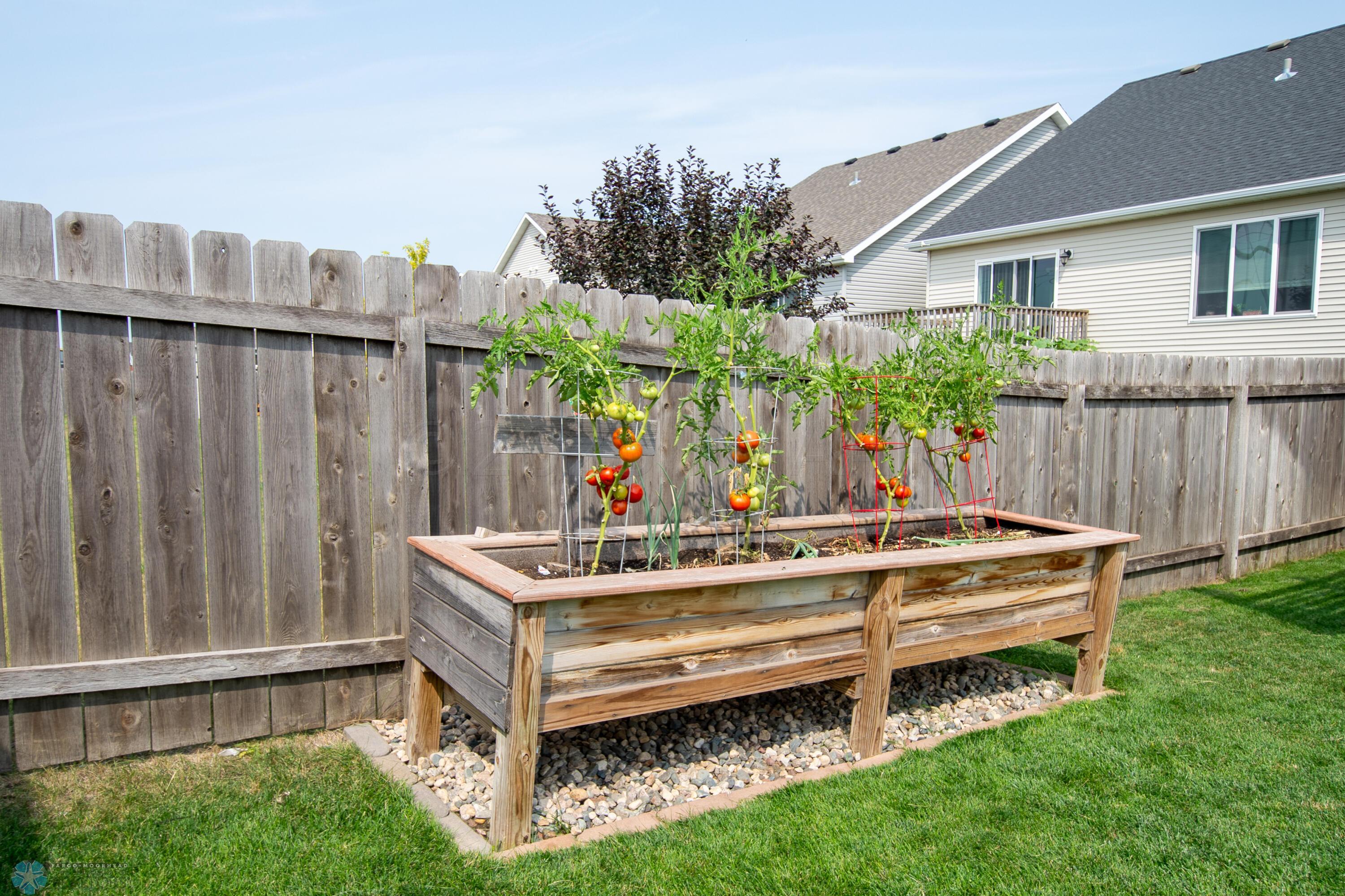 Raised Garden Beds