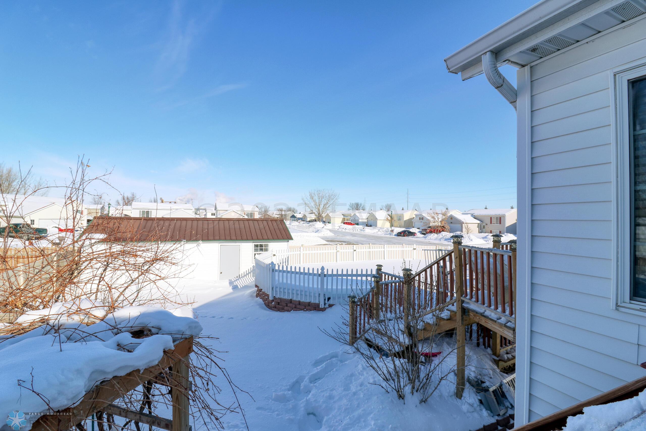 Backyard1_1