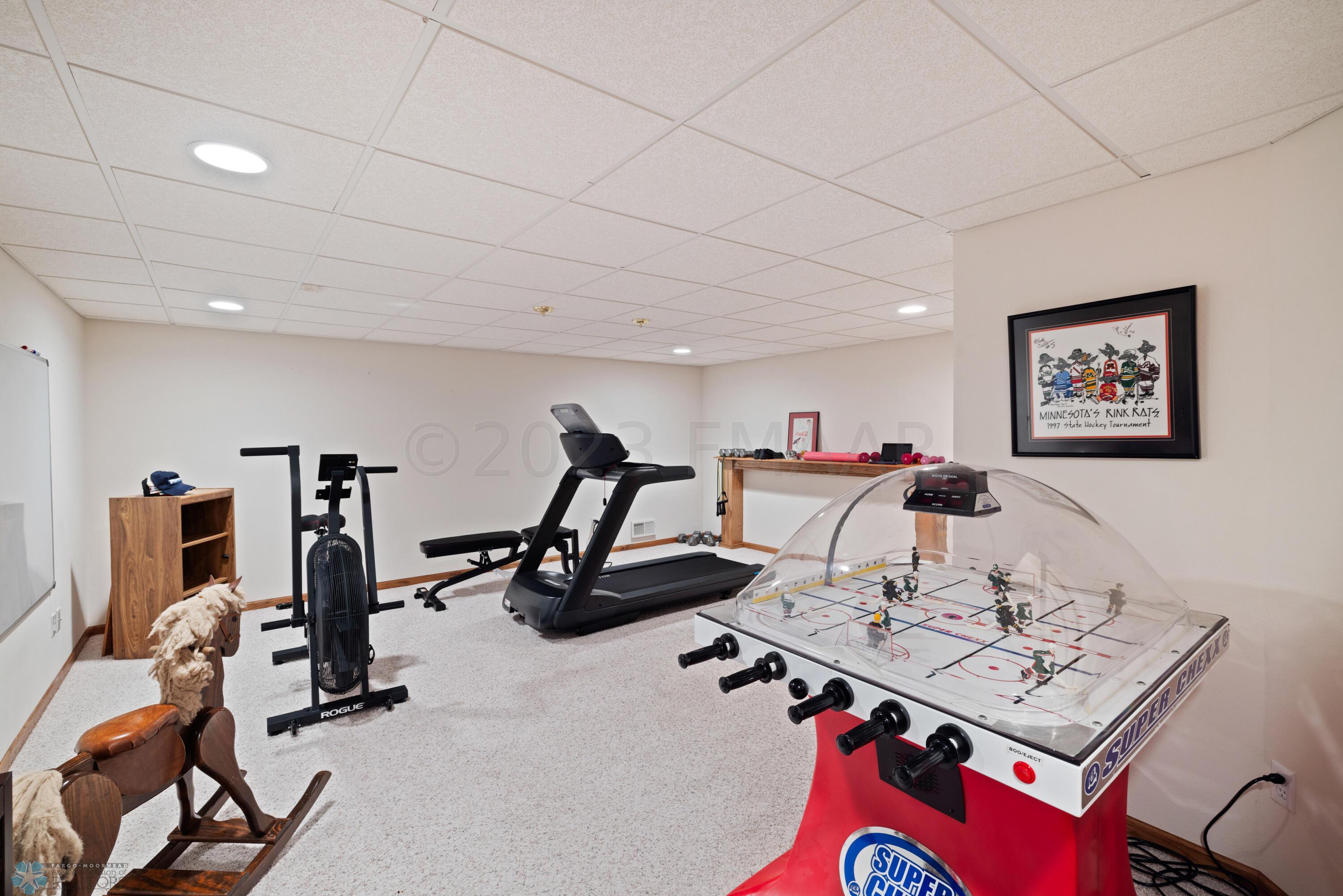 Basement Family Room