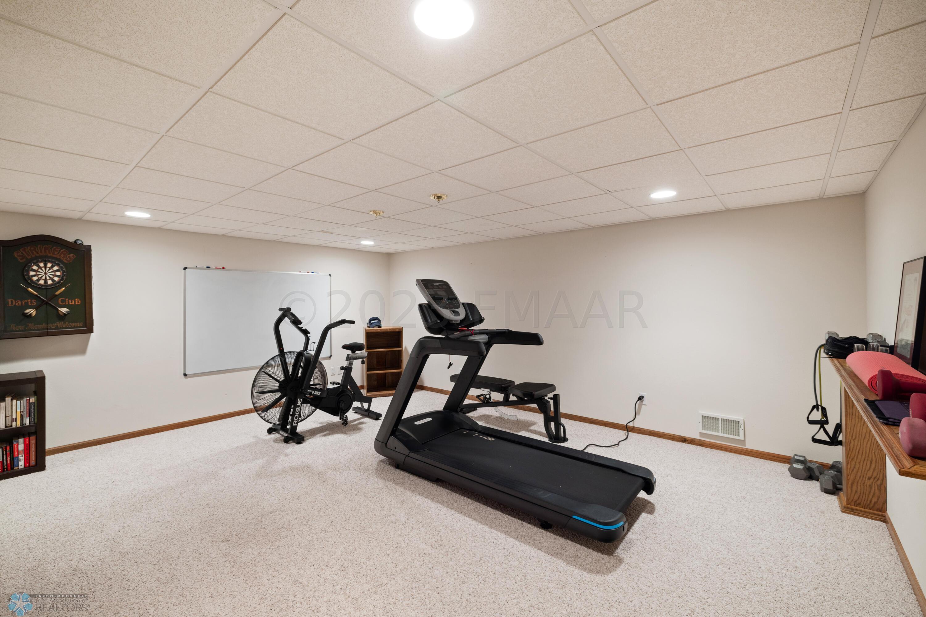 Basement Family Room