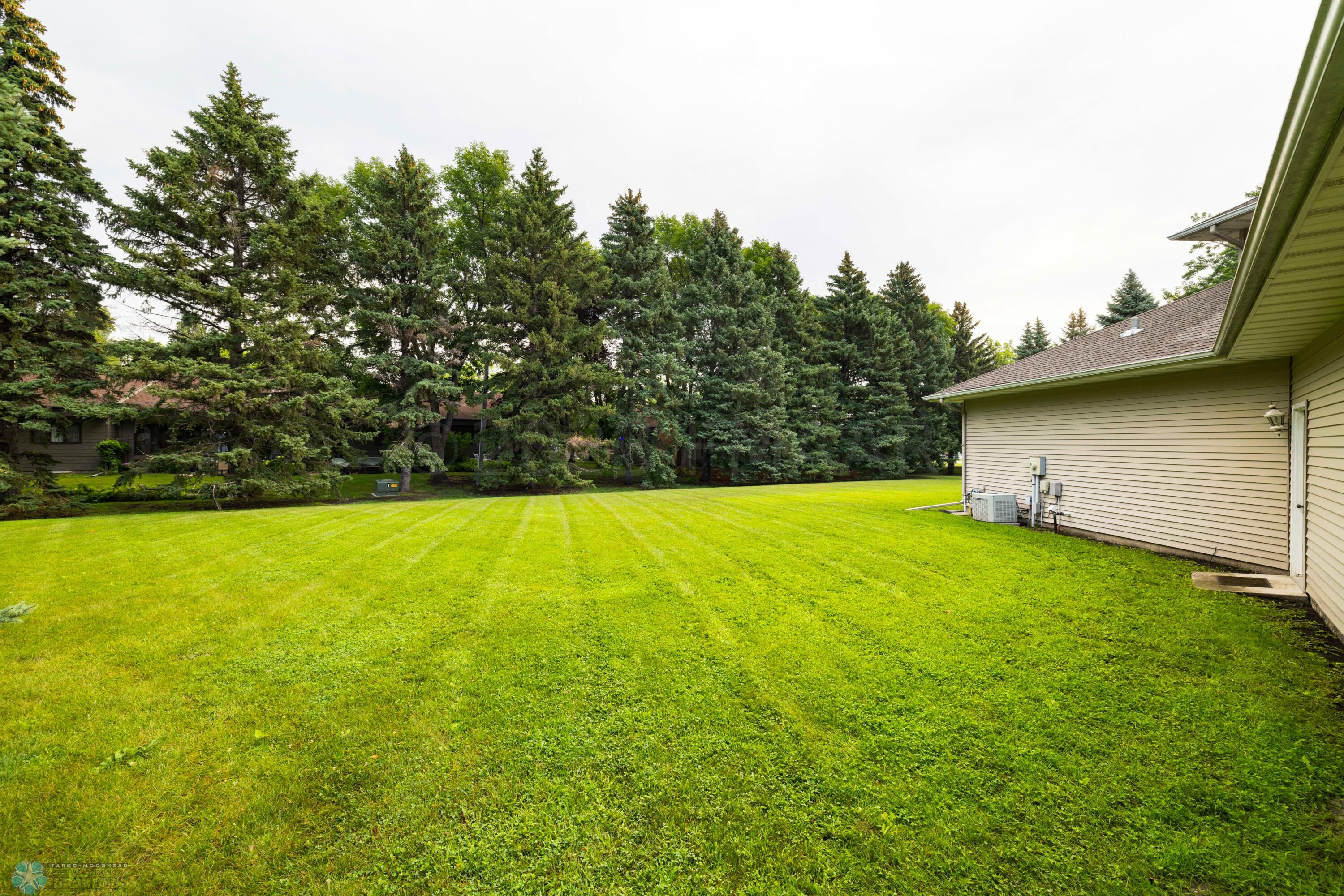 Huge Backyard