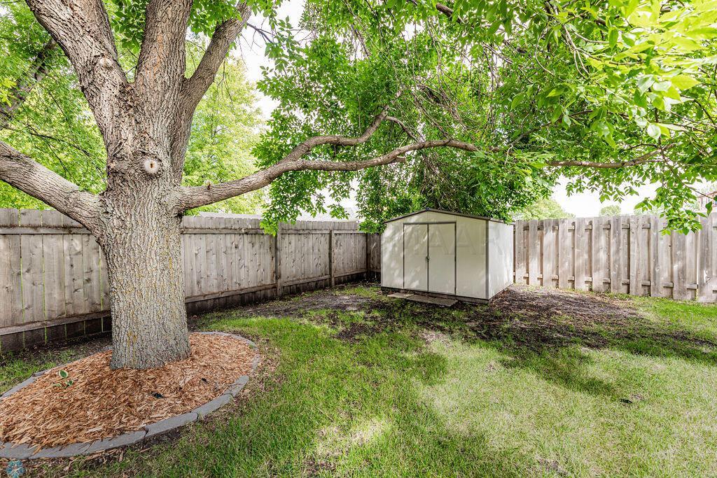 Yard & Shed