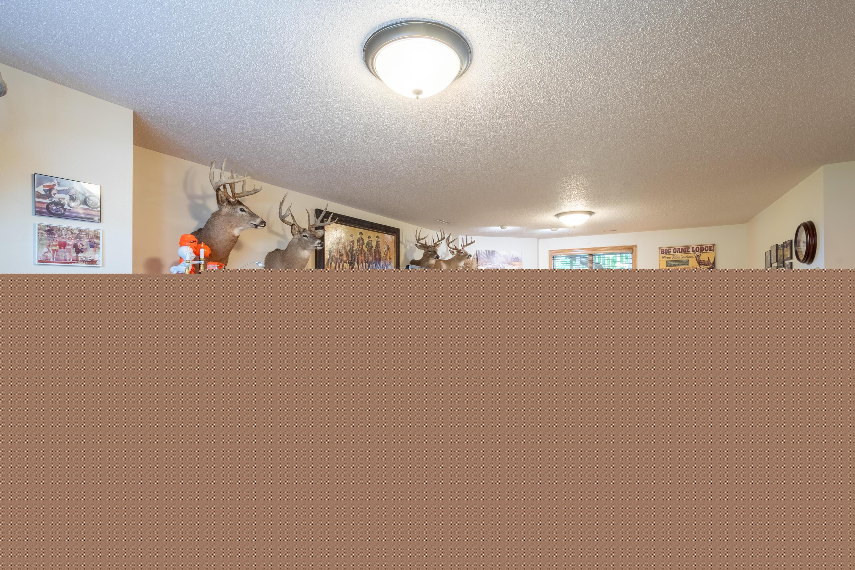 Basement Family Room