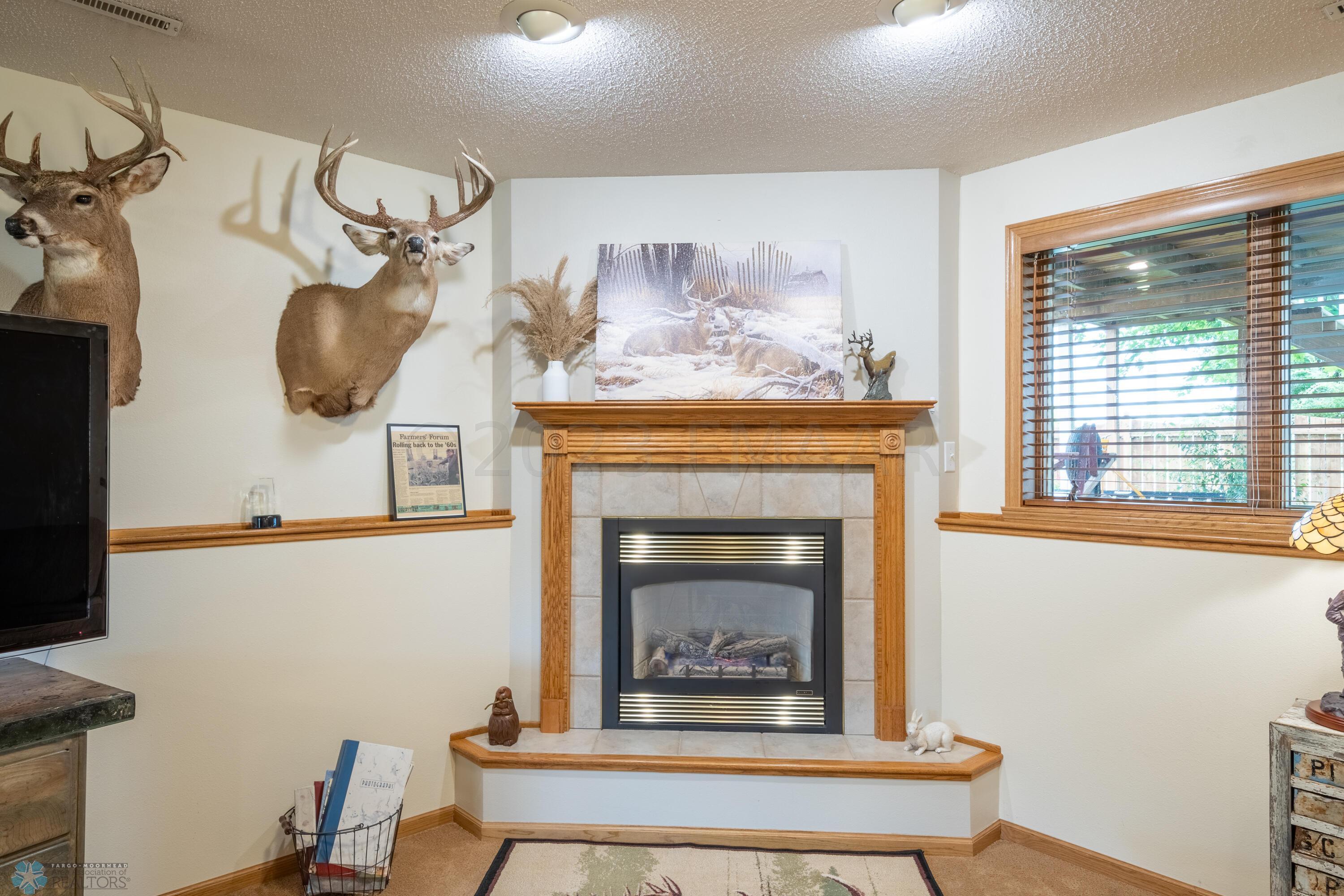 Gas Fireplace