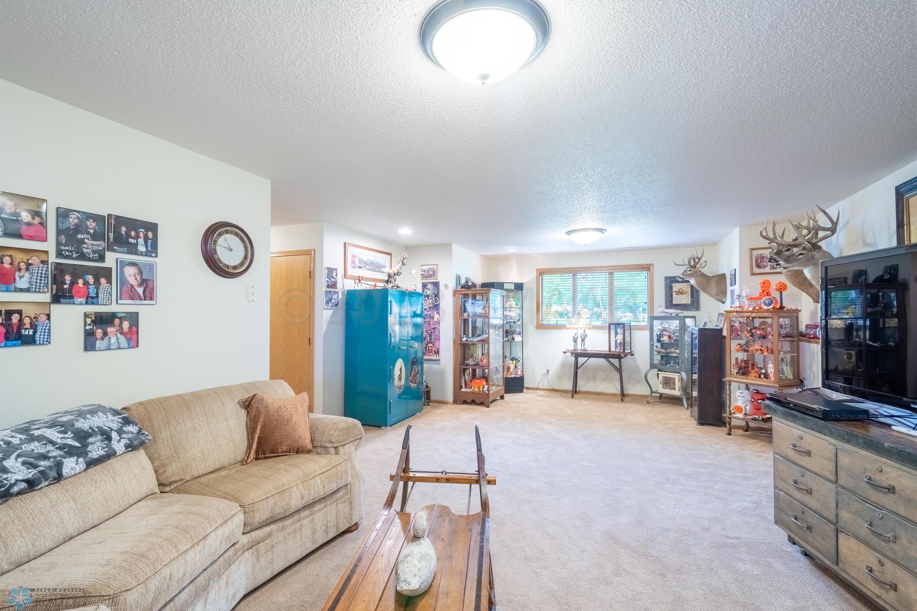 Basement Family Room