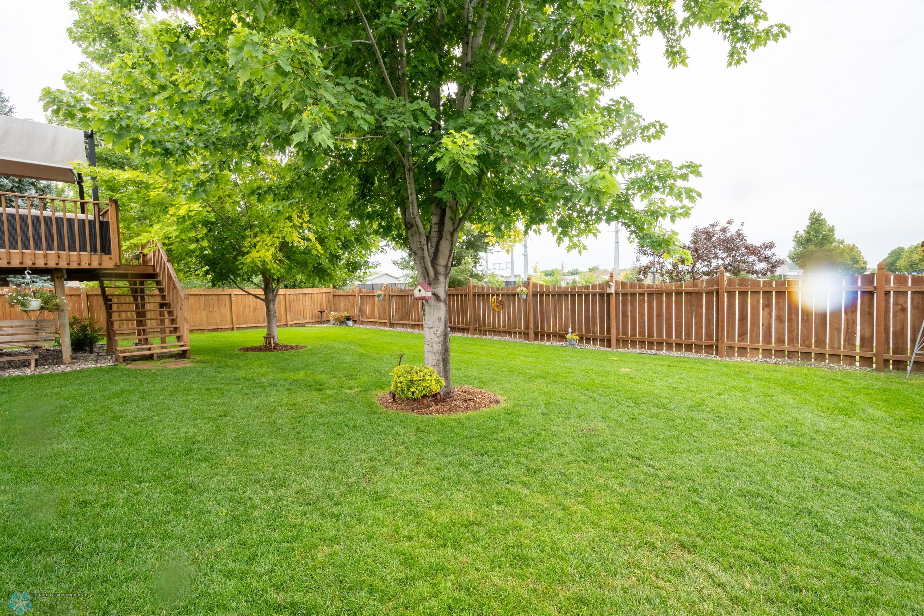 Yard