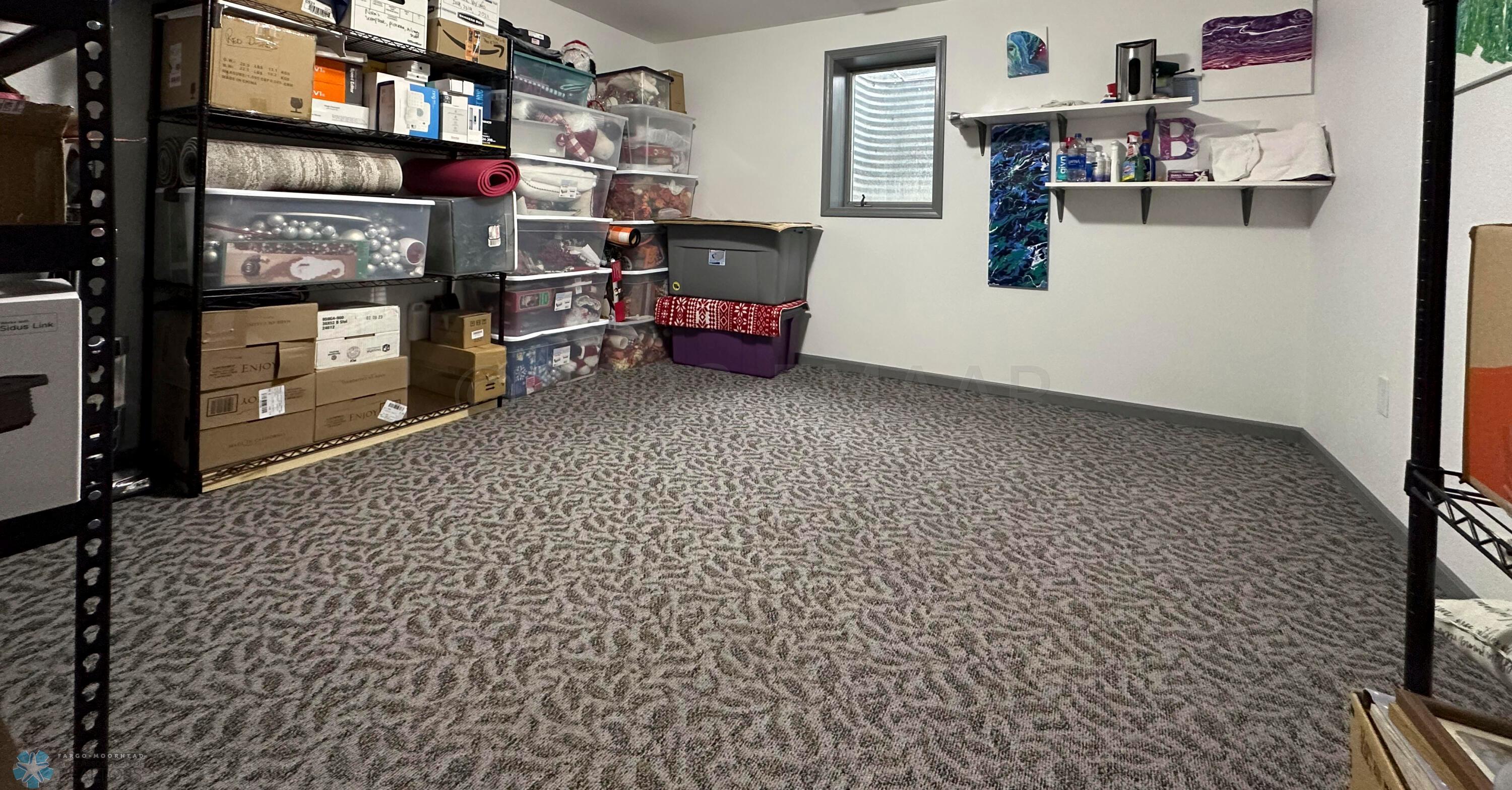 LL Storage/Possible 5th Bedroom Pic 2