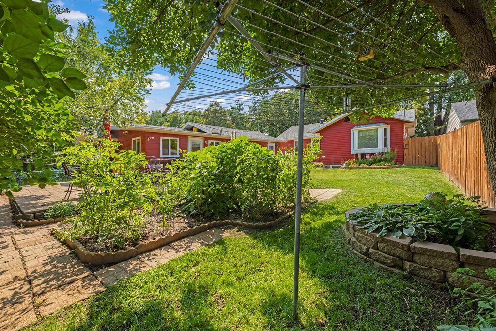 Backyard Garden