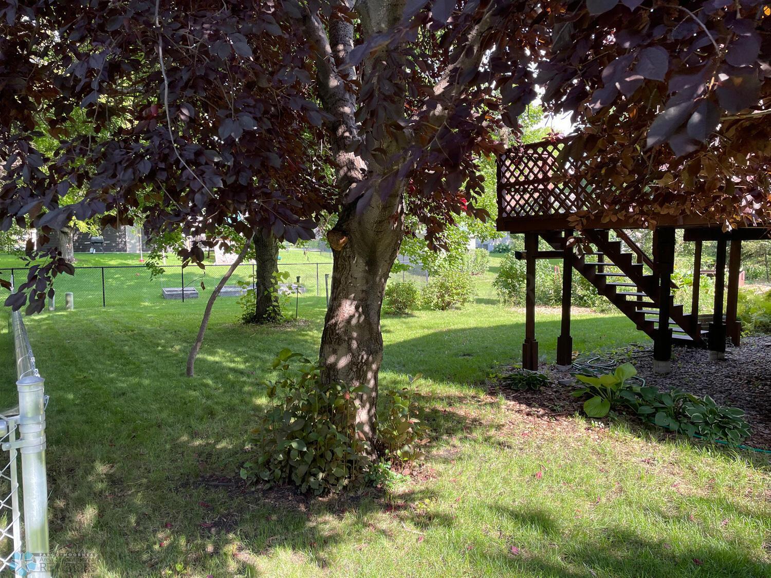 Backyard-view-1