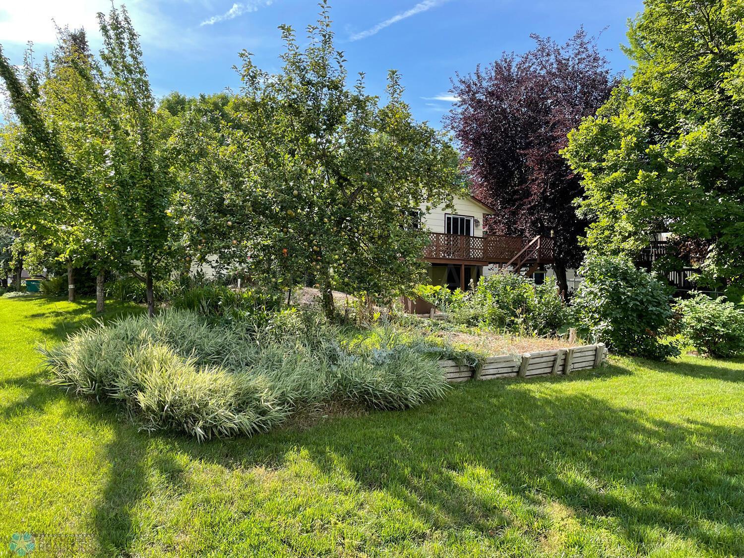 Backyard-view-to-home-3