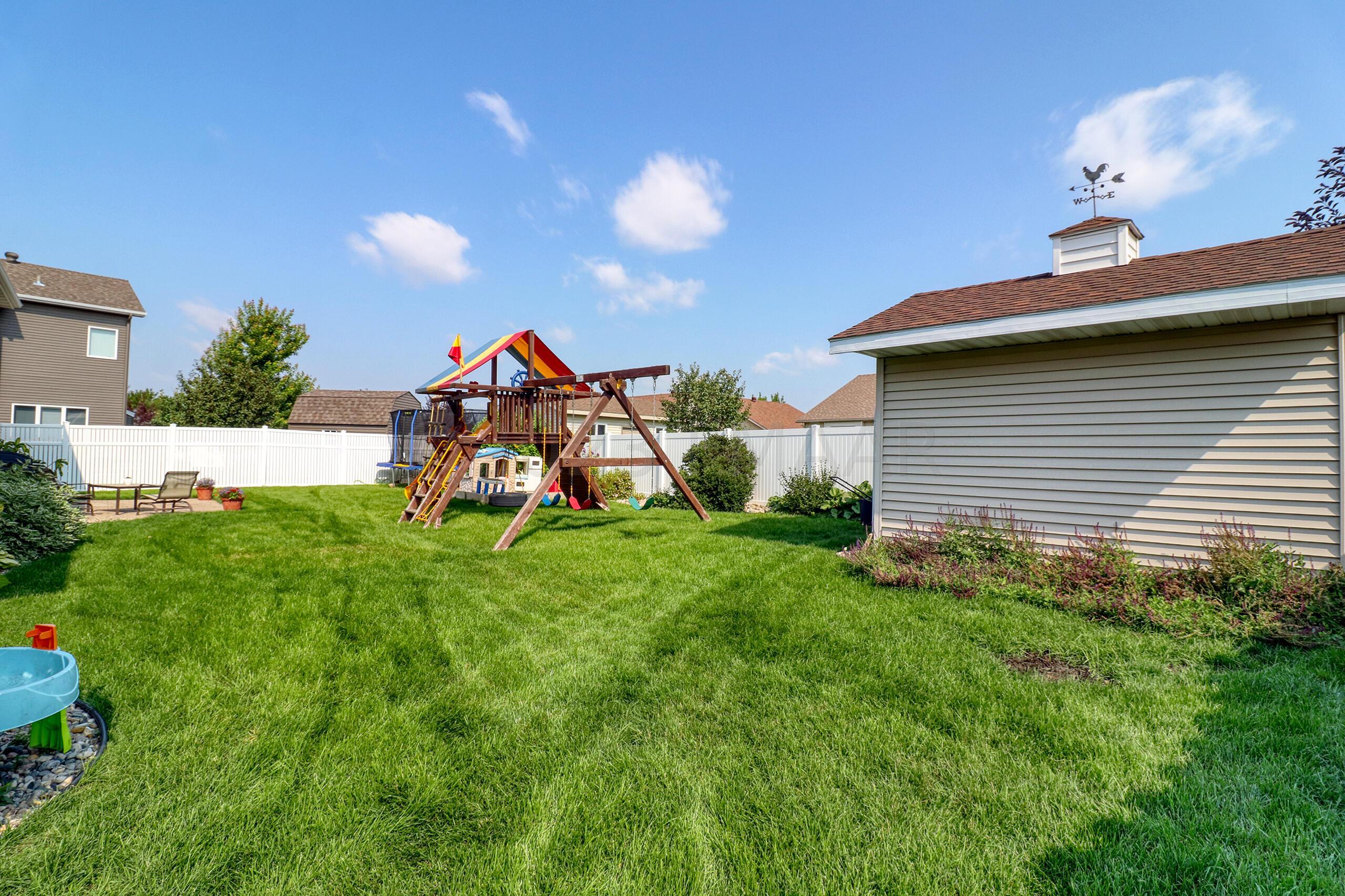 Backyard1_2